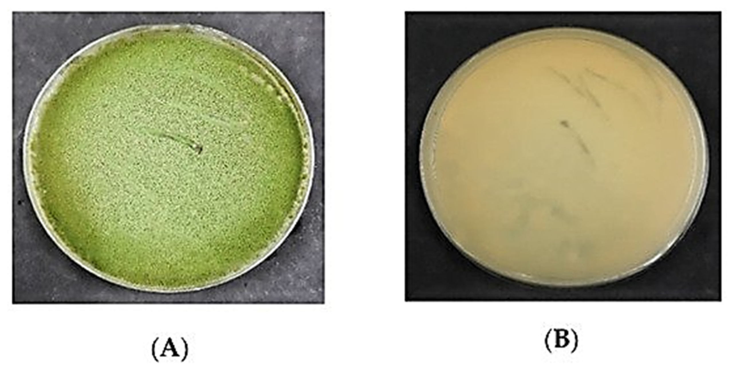 Separations 08 00098 g003