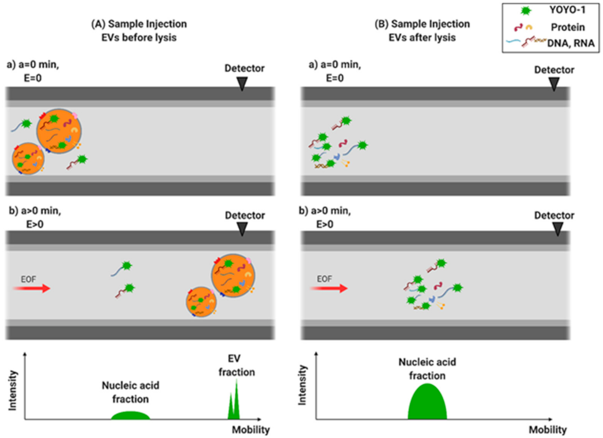 Separations 08 00110 g001