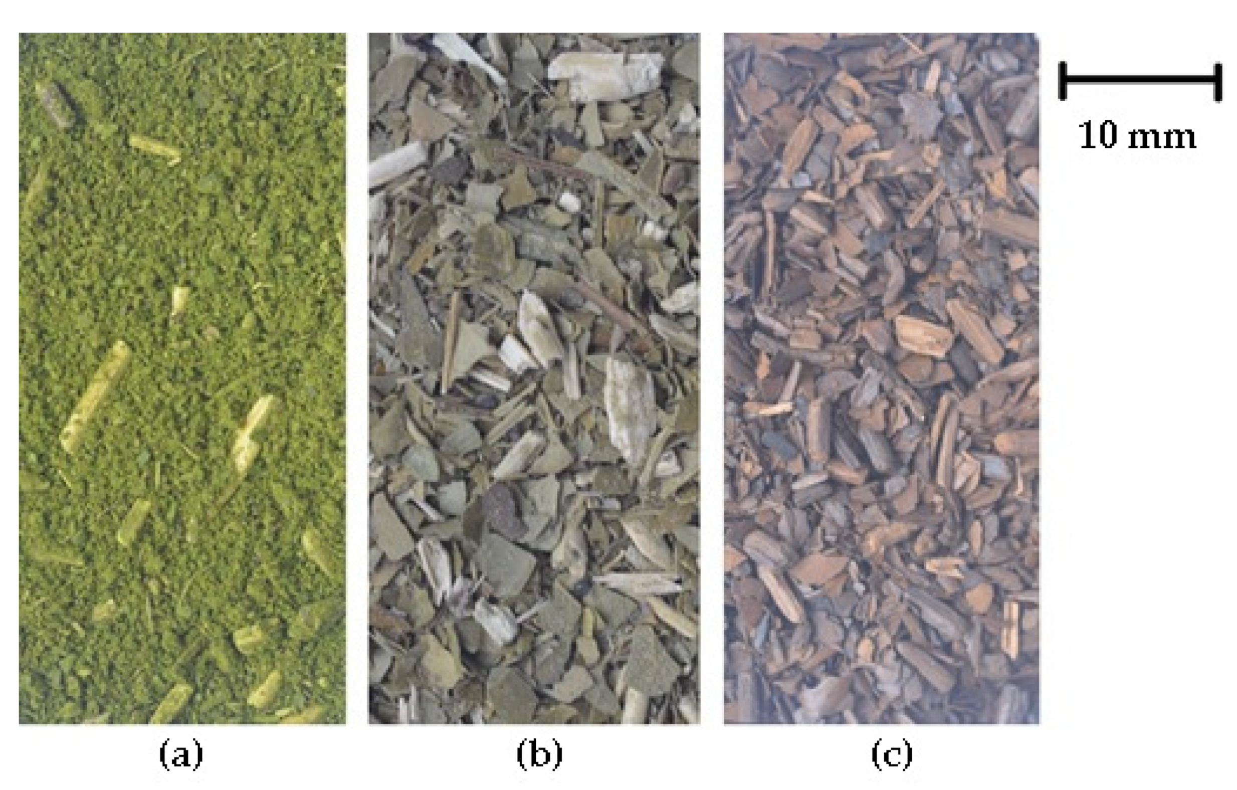 Separations 08 00131 g001