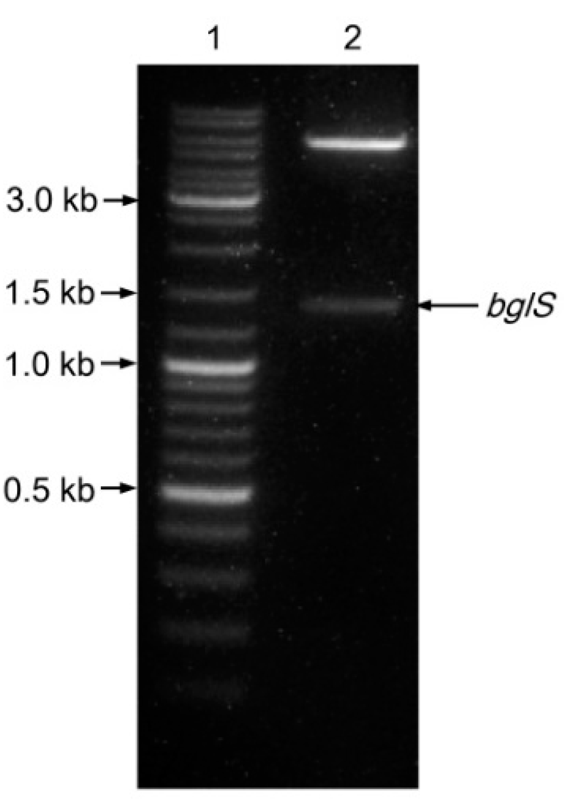 Separations 08 00138 g002