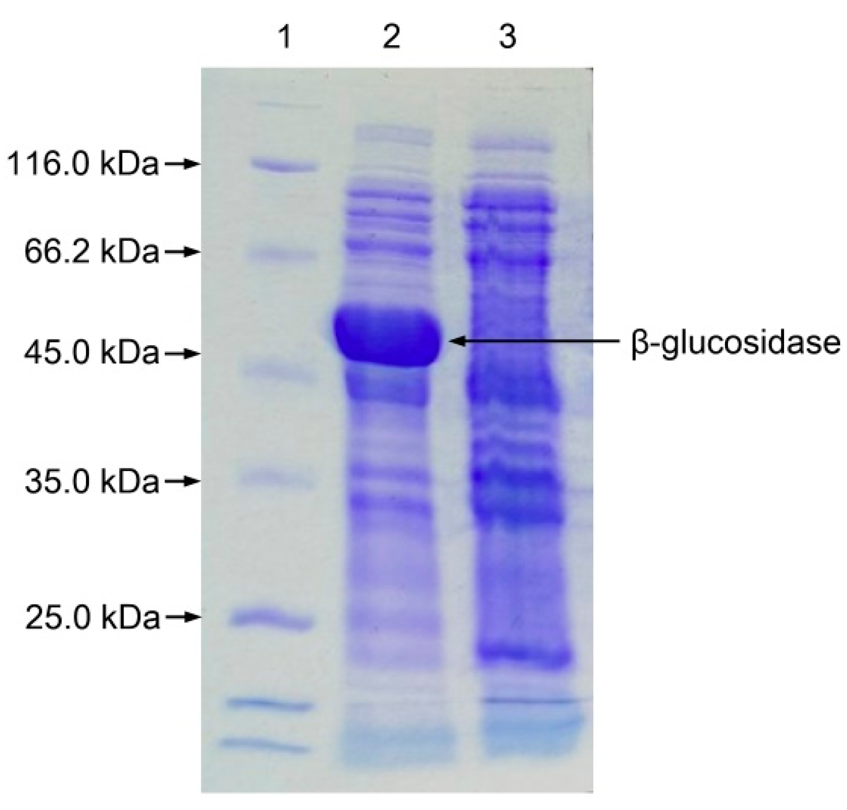 Separations 08 00138 g003