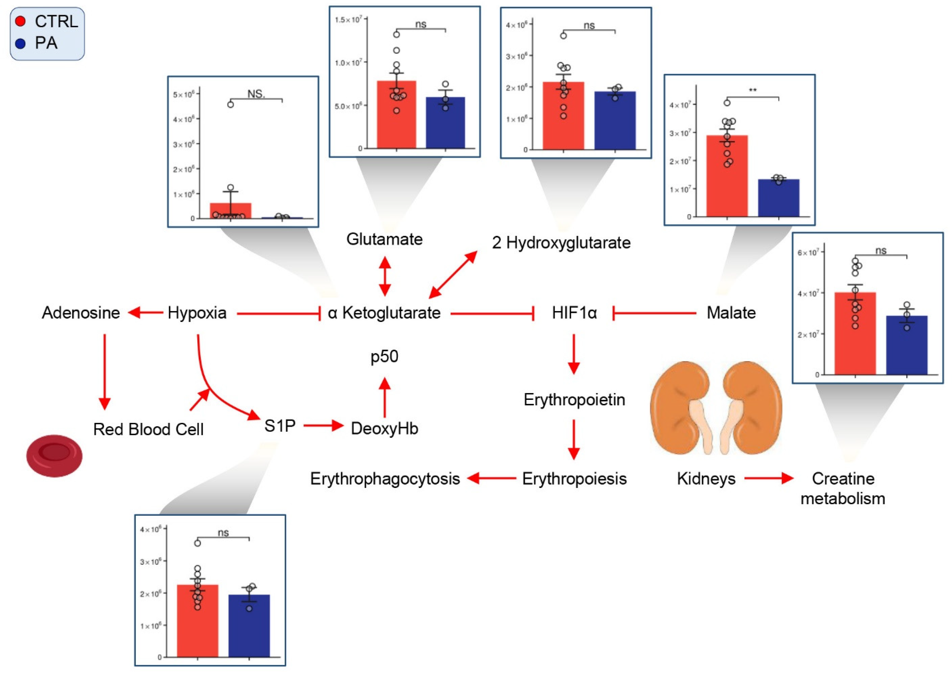 Separations 08 00142 g006