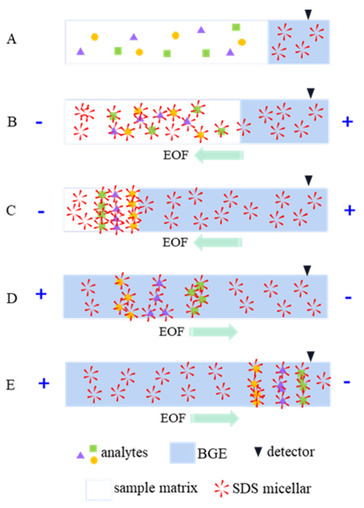 Separations 08 00147 g006
