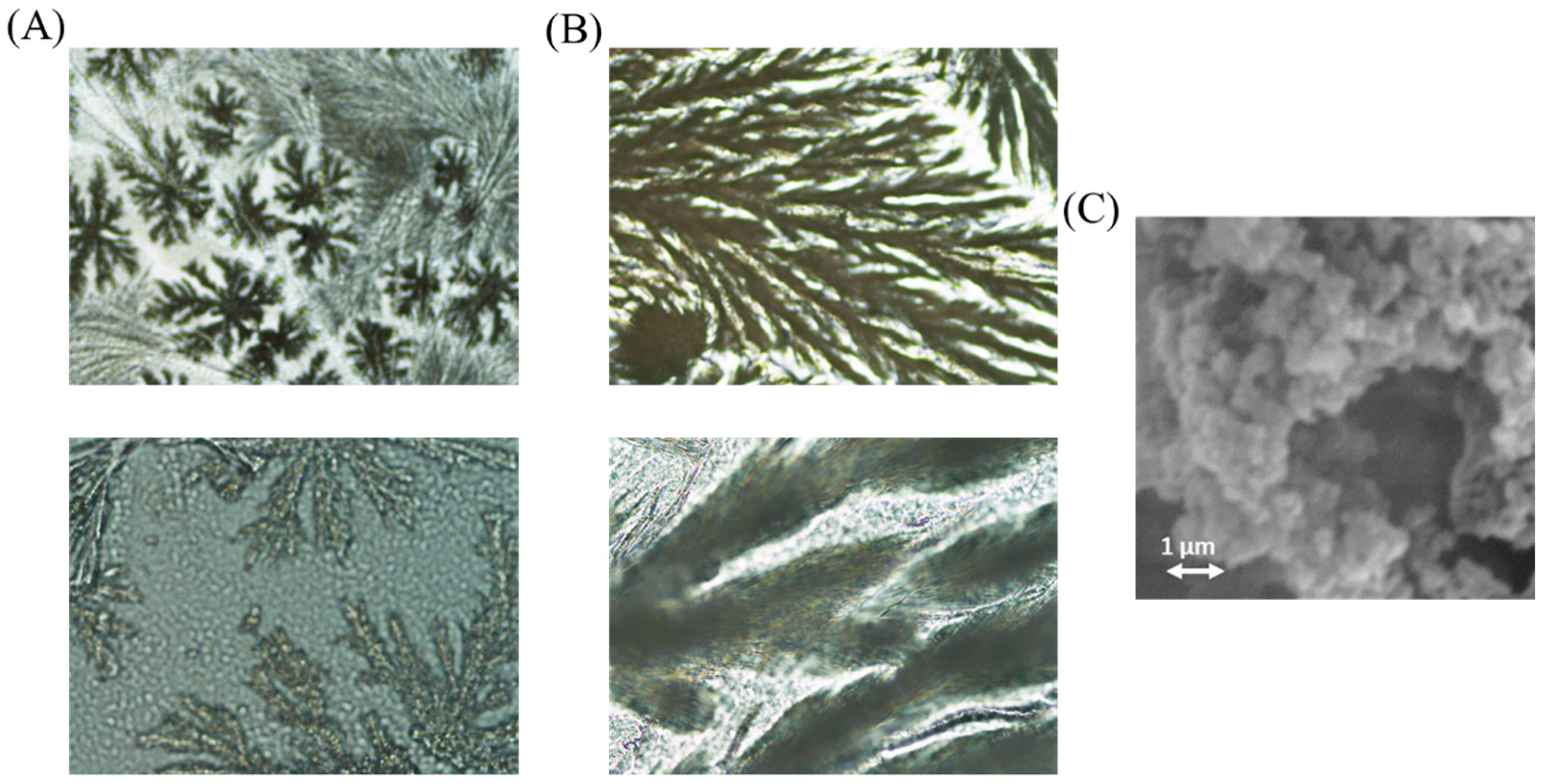 Separations 08 00149 g006