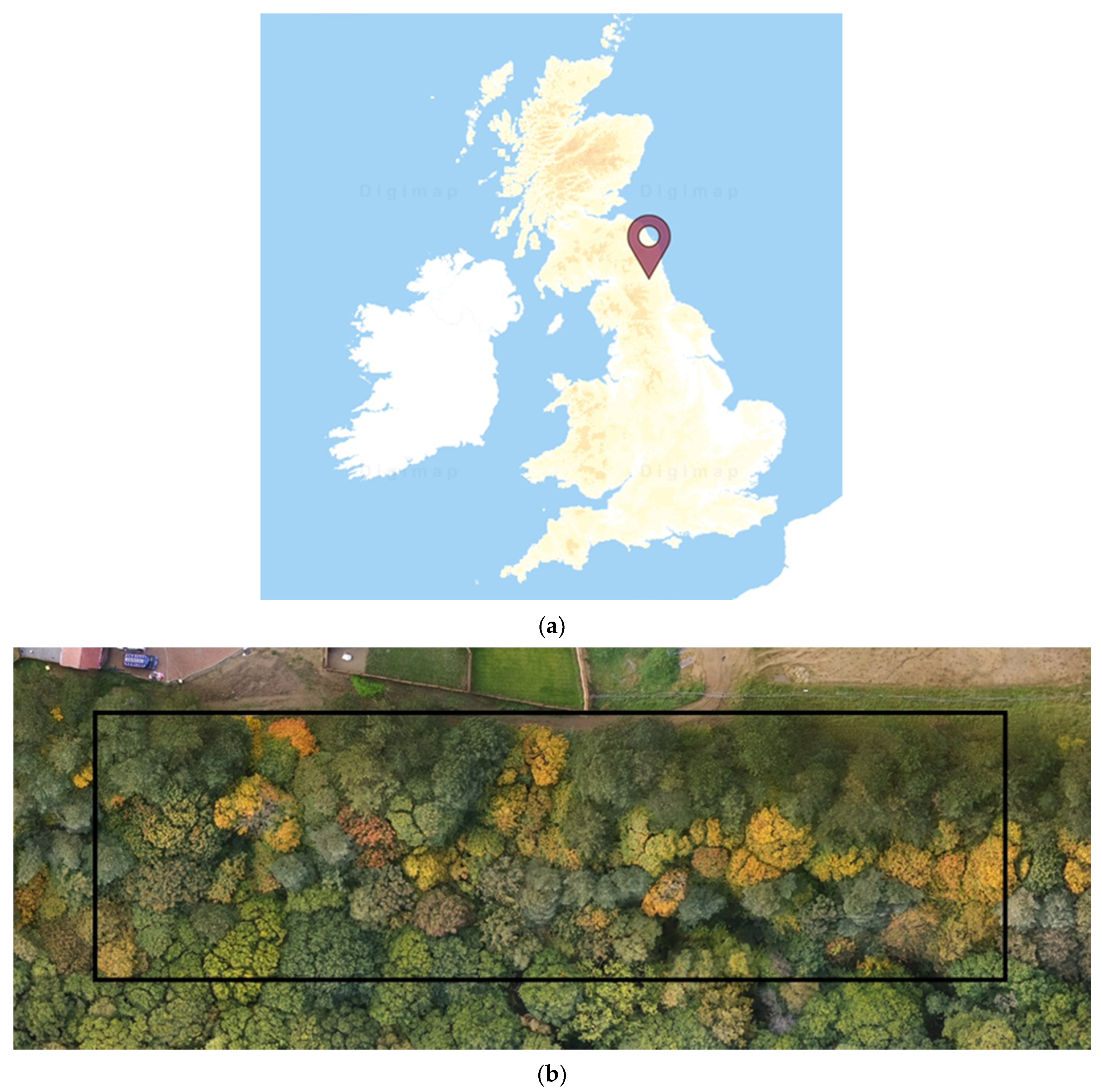 Separations 08 00160 g001