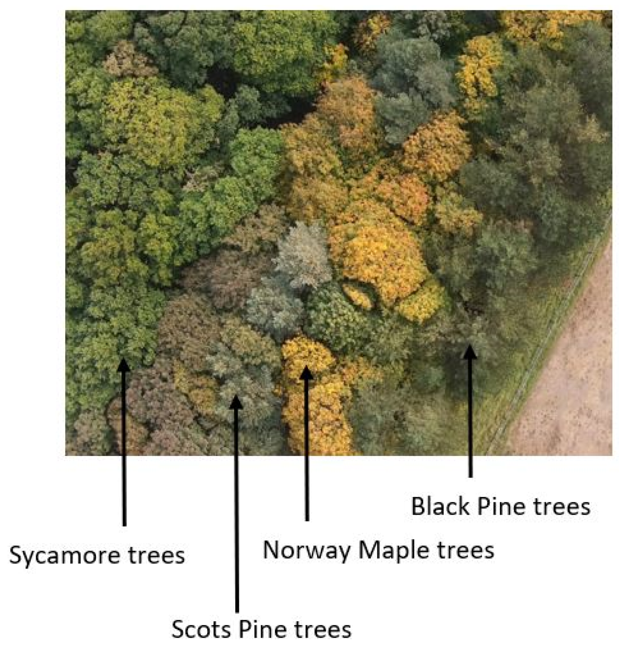 Separations 08 00160 g003