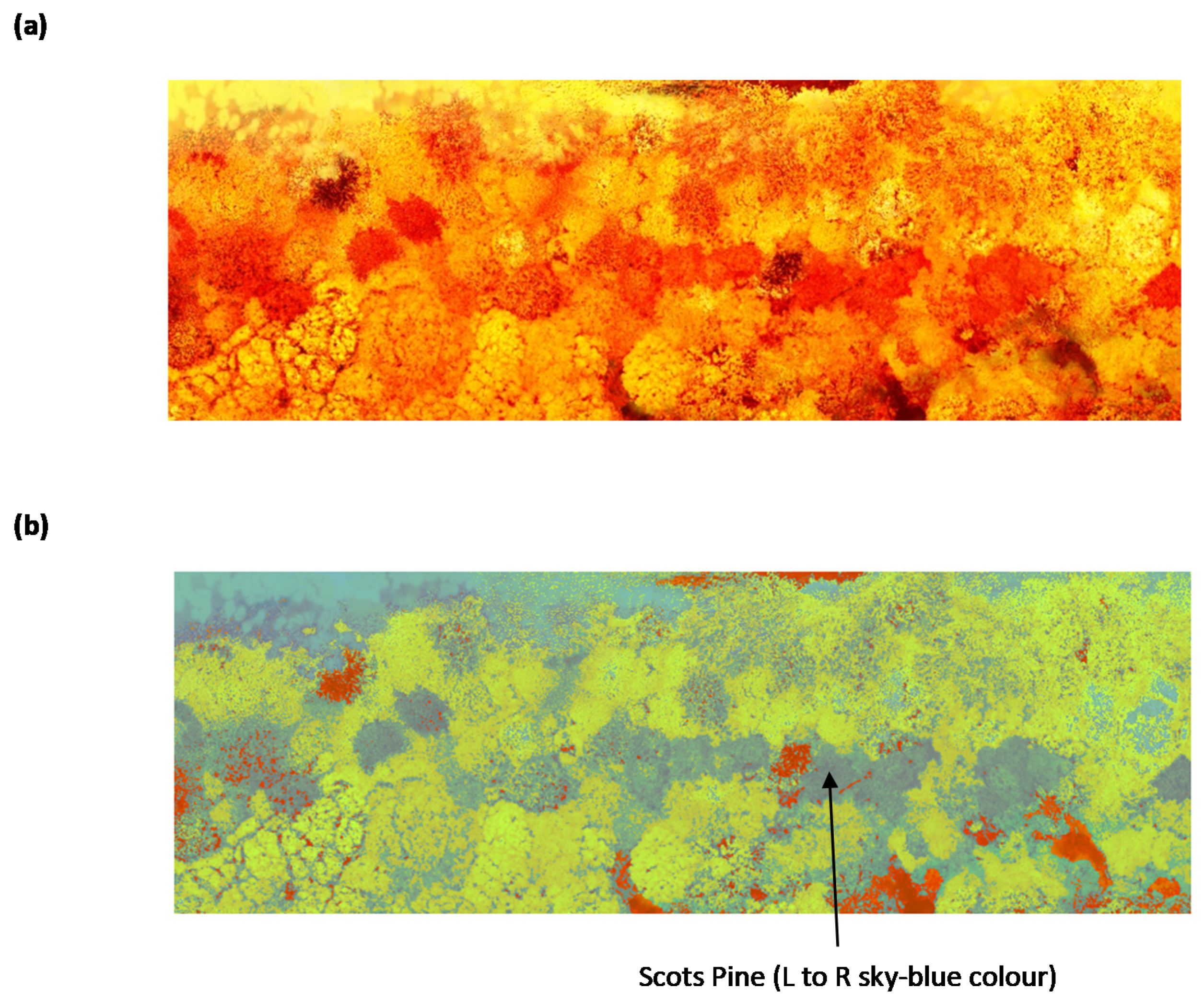 Separations 08 00160 g007