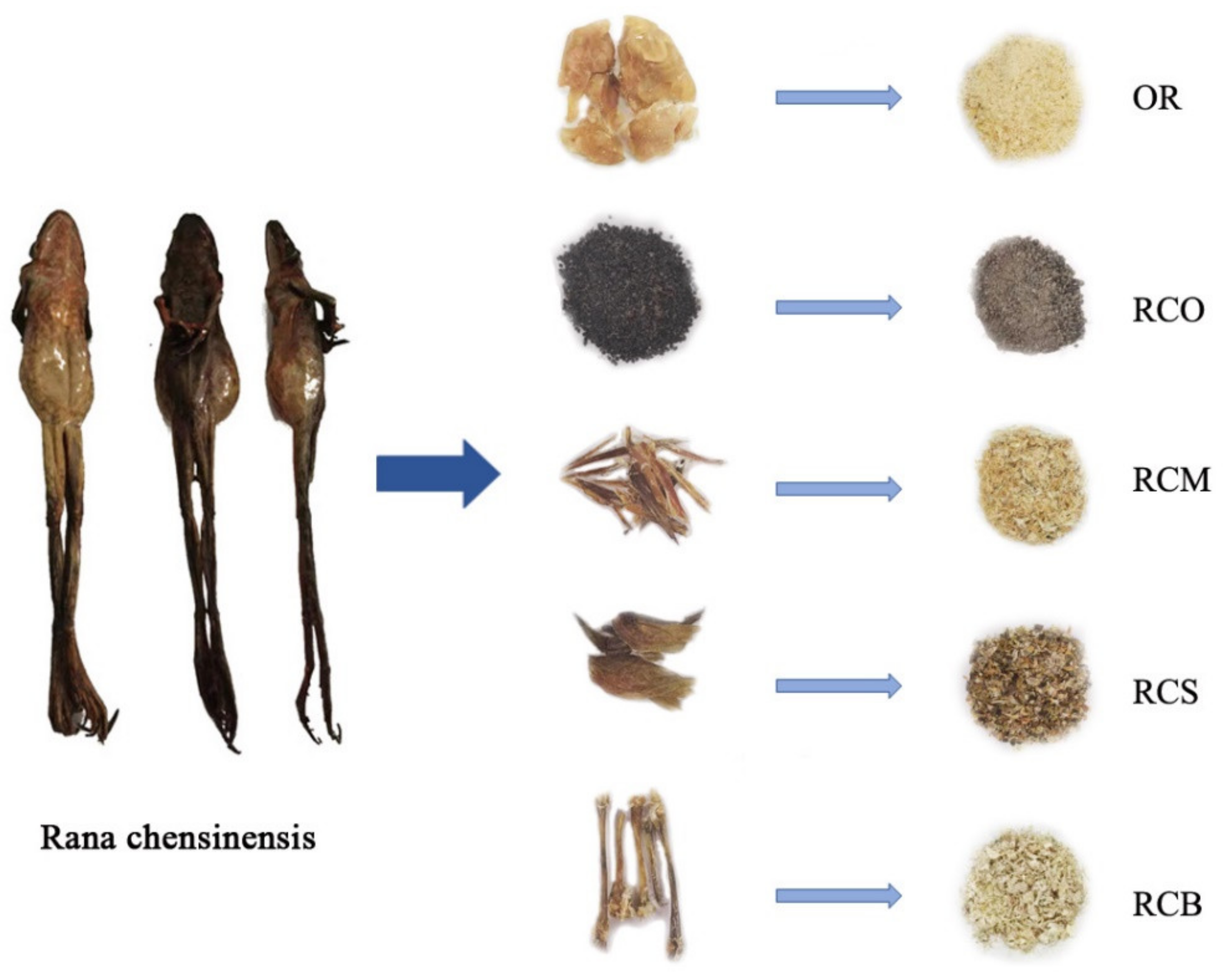 Separations 08 00164 g001