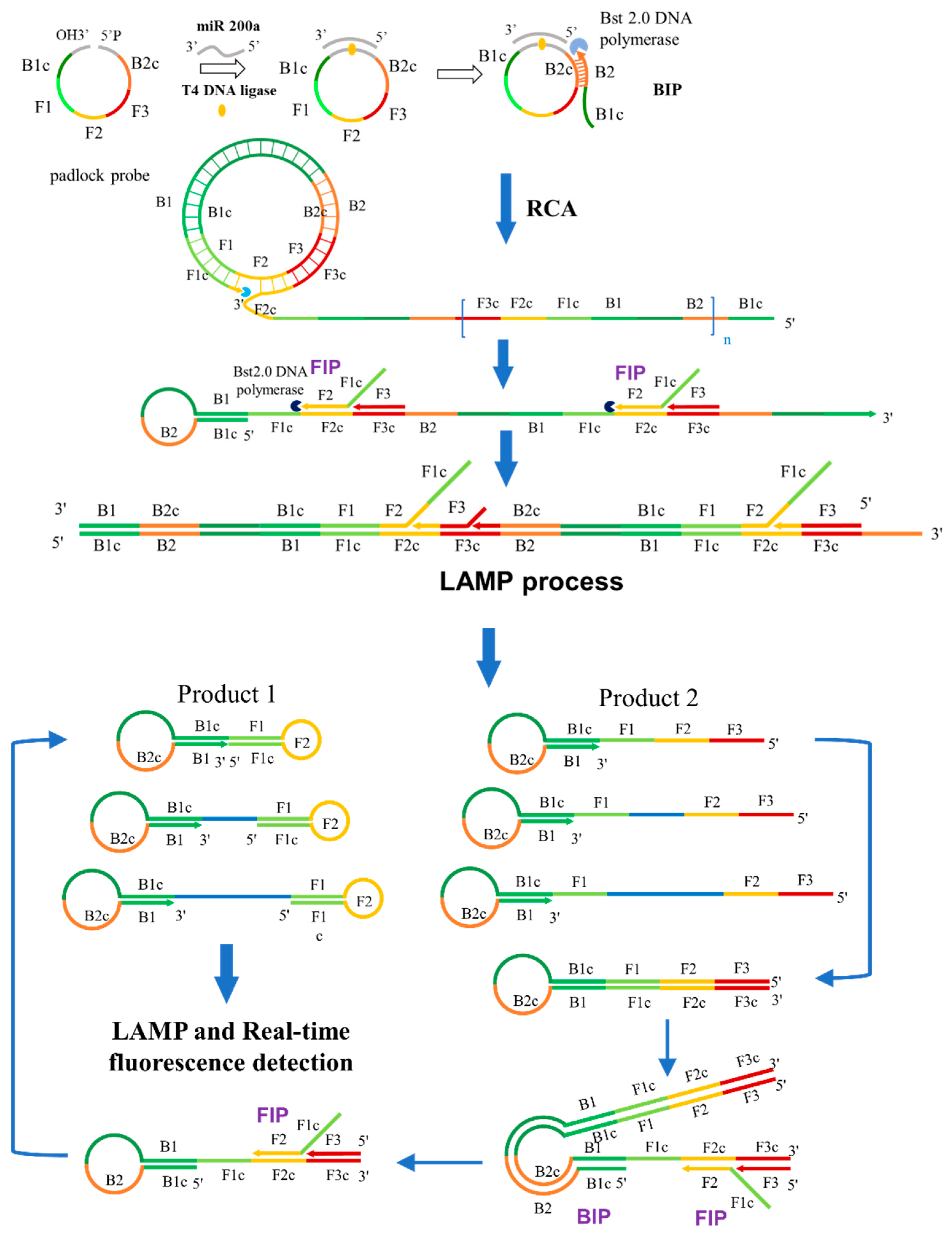 Separations 08 00166 sch001