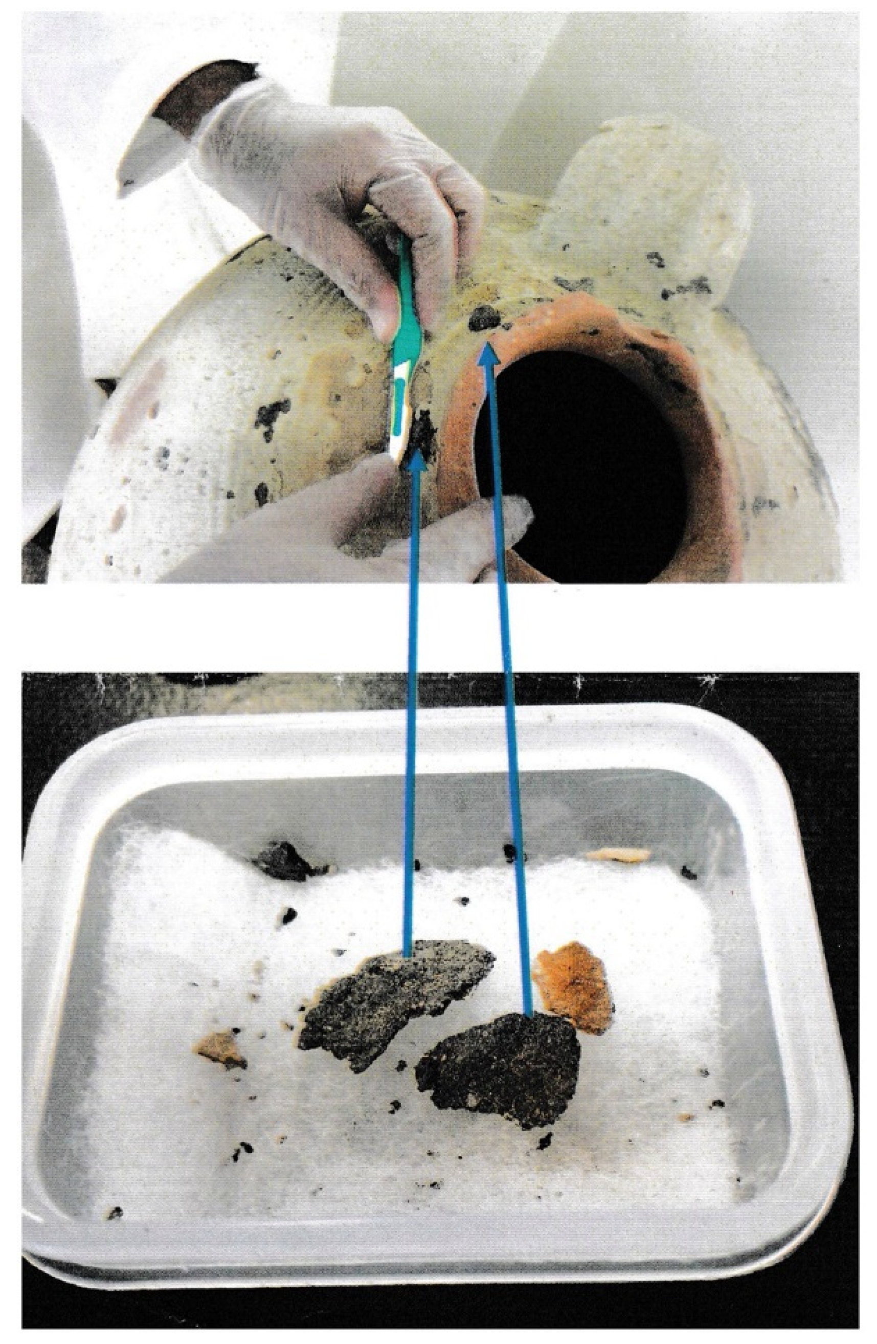 Separations 08 00182 g004