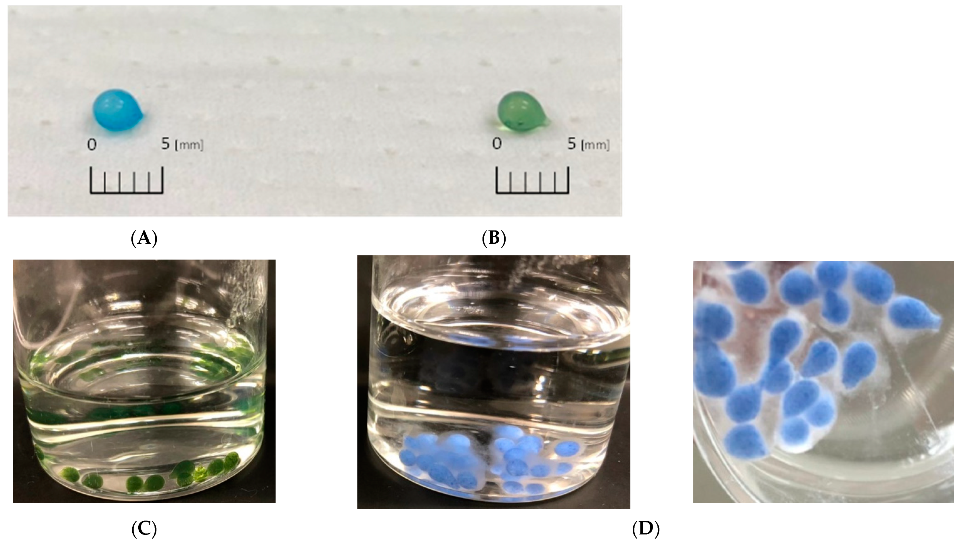 Separations 08 00202 g002