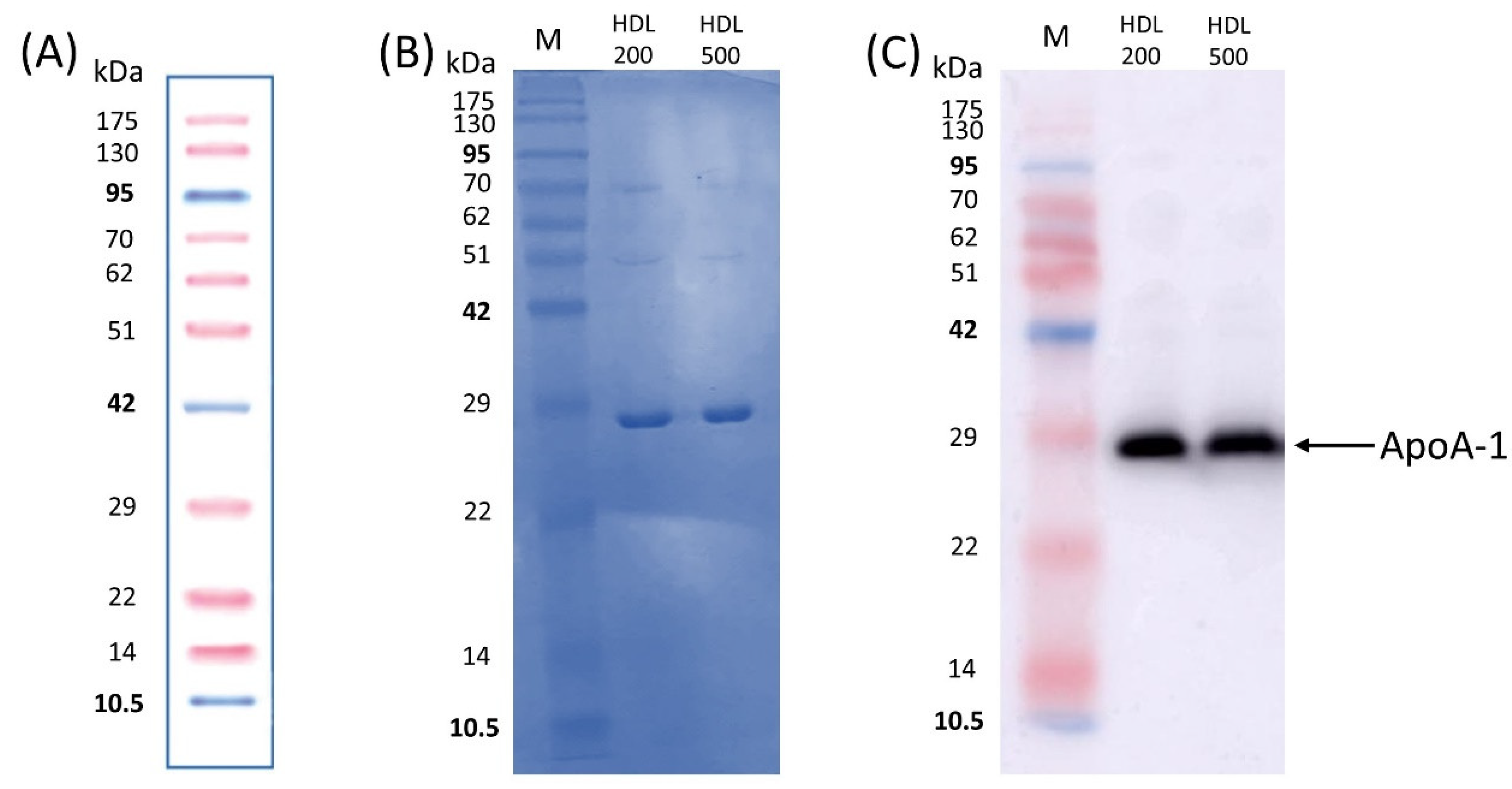 Separations 08 00204 g002