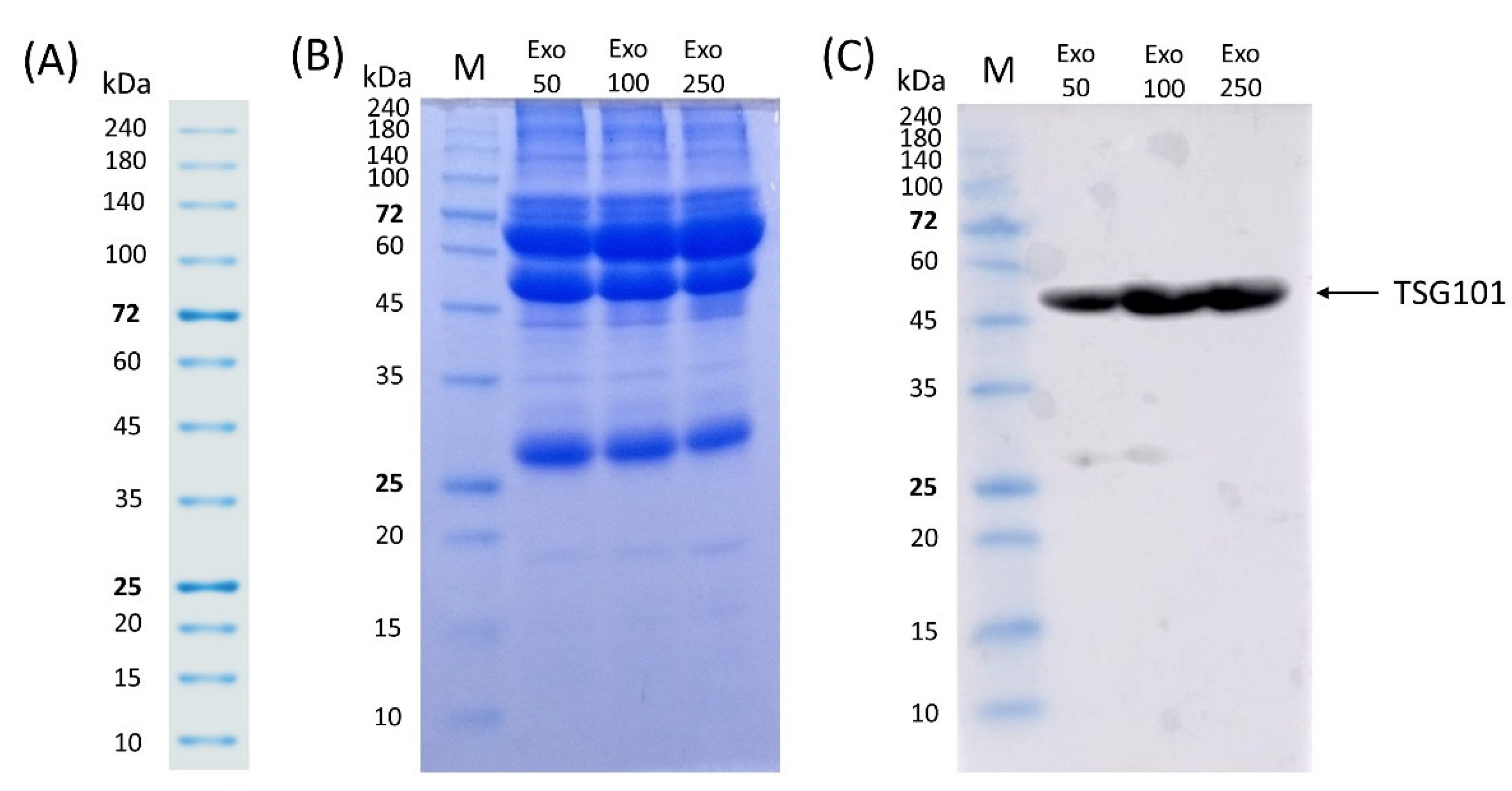 Separations 08 00204 g006