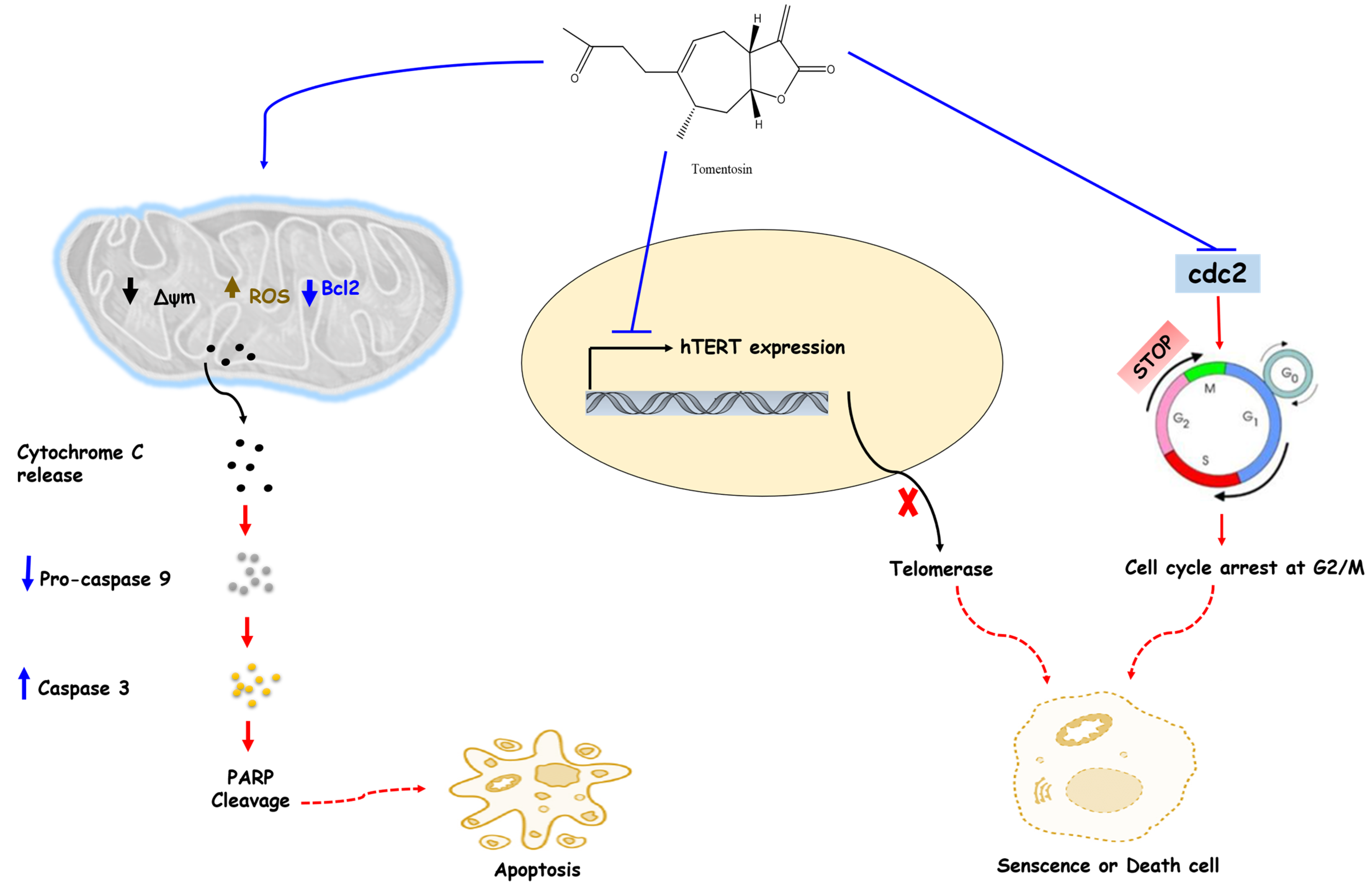 Separations 08 00207 g002