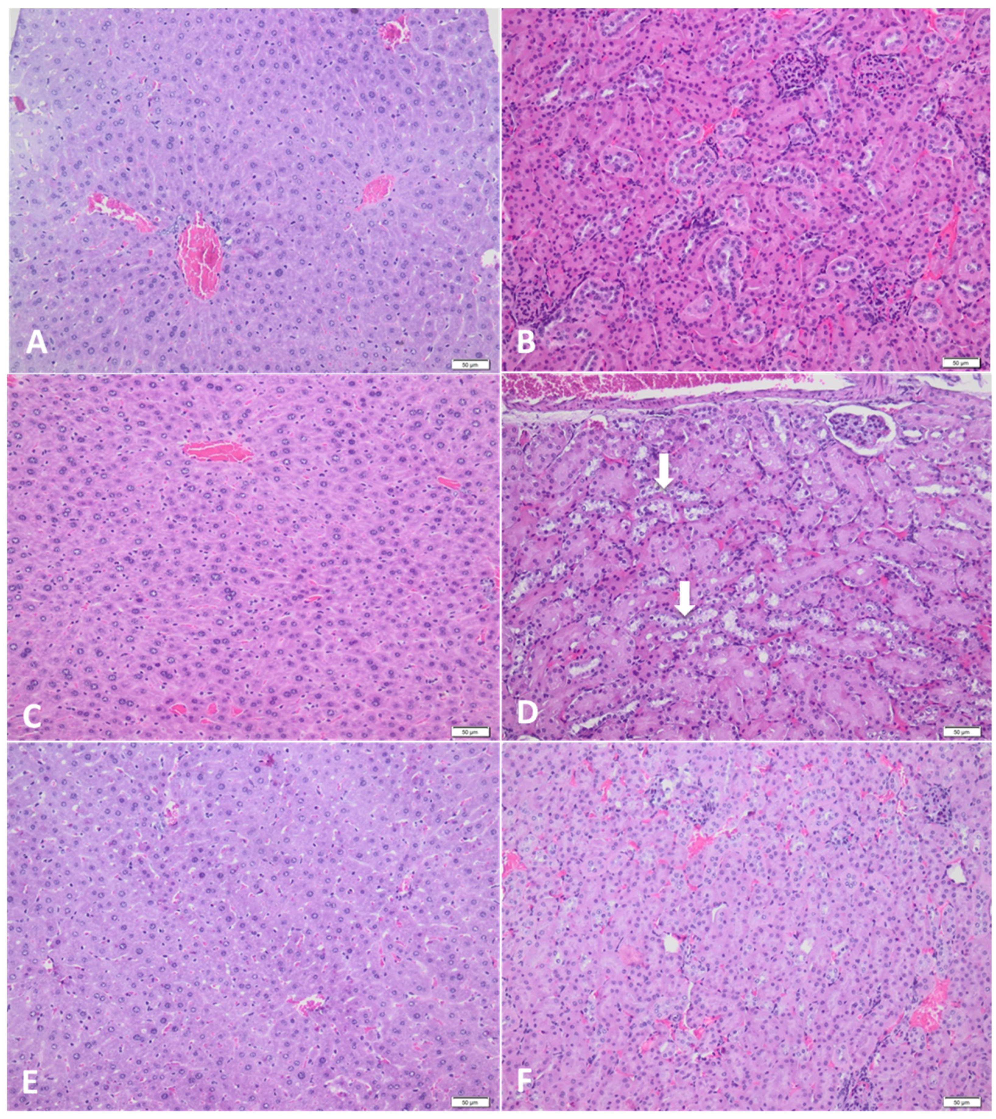 Separations 08 00218 g003