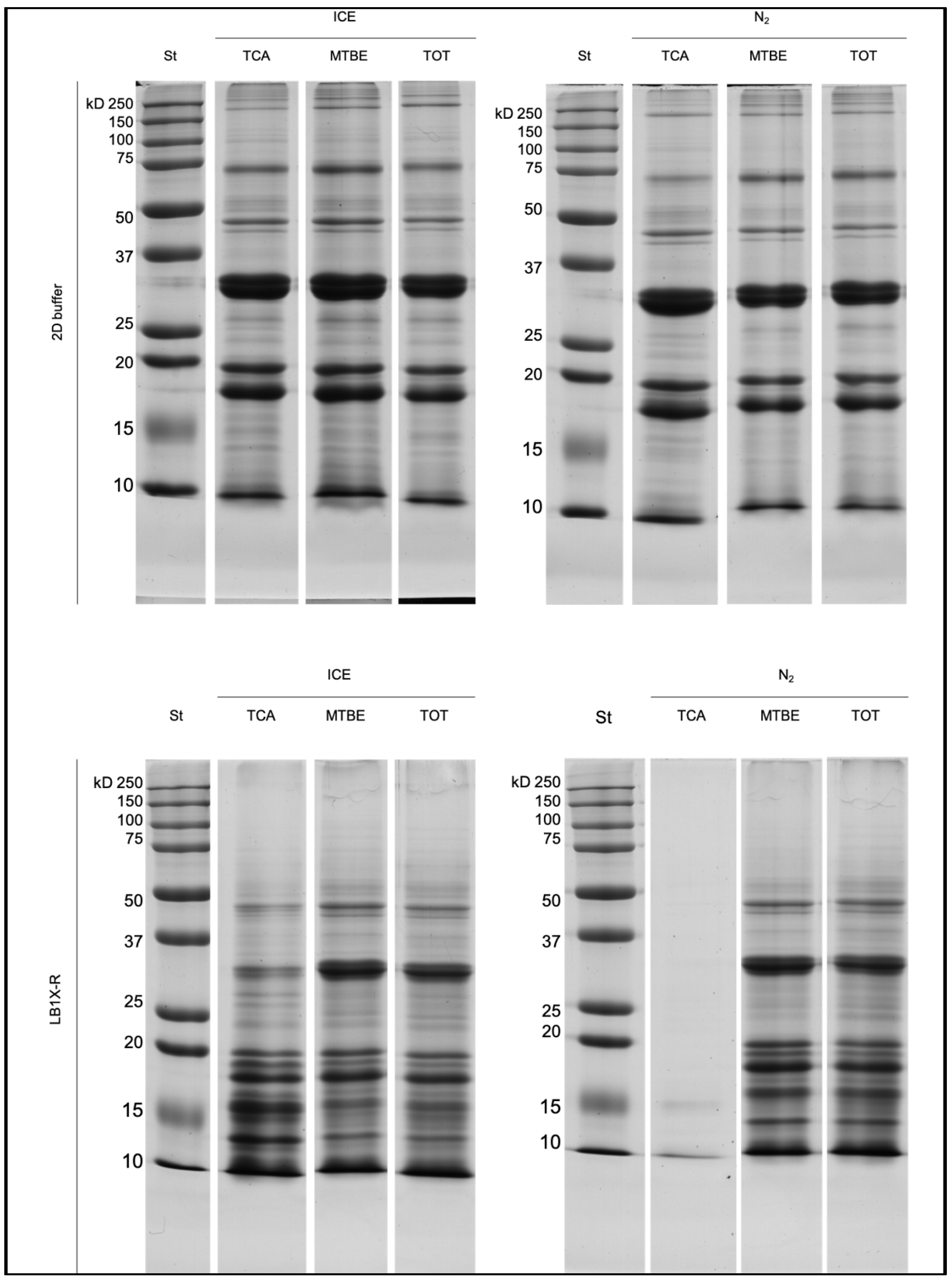 Separations 08 00231 g002