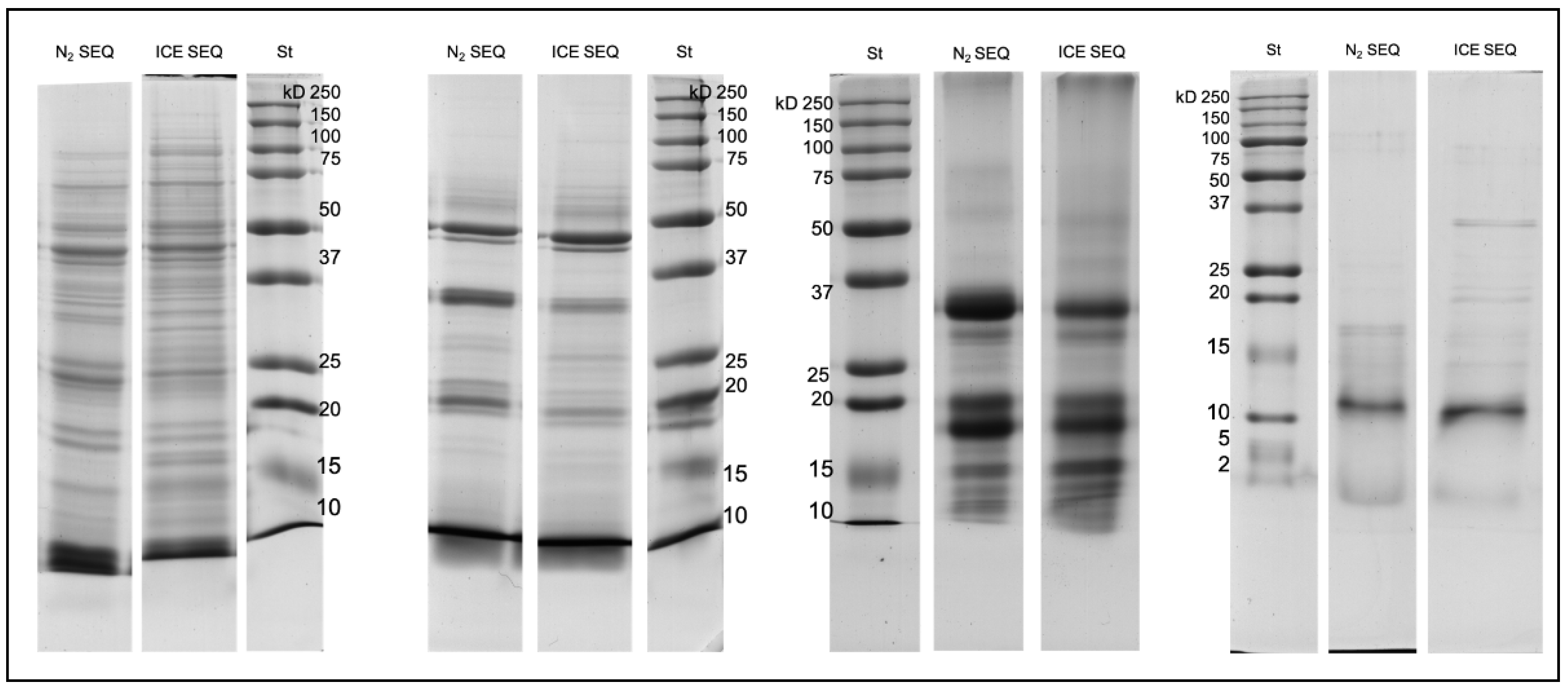 Separations 08 00231 g004