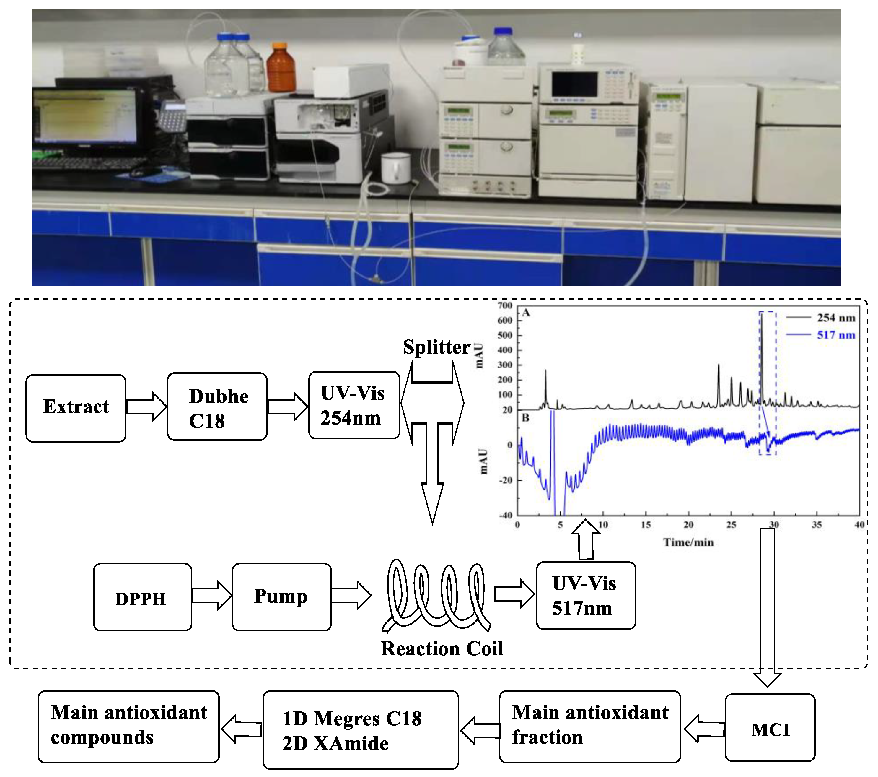 Separations 08 00238 g001