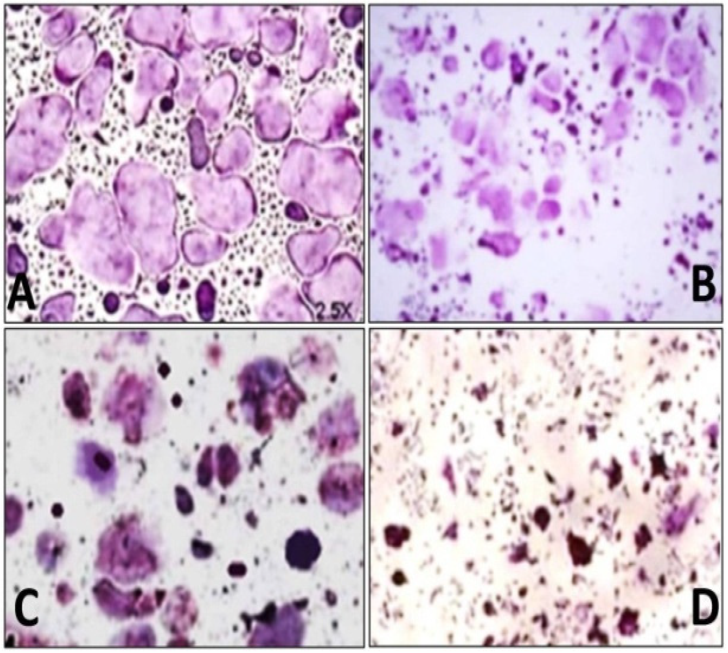 Separations 08 00240 g001