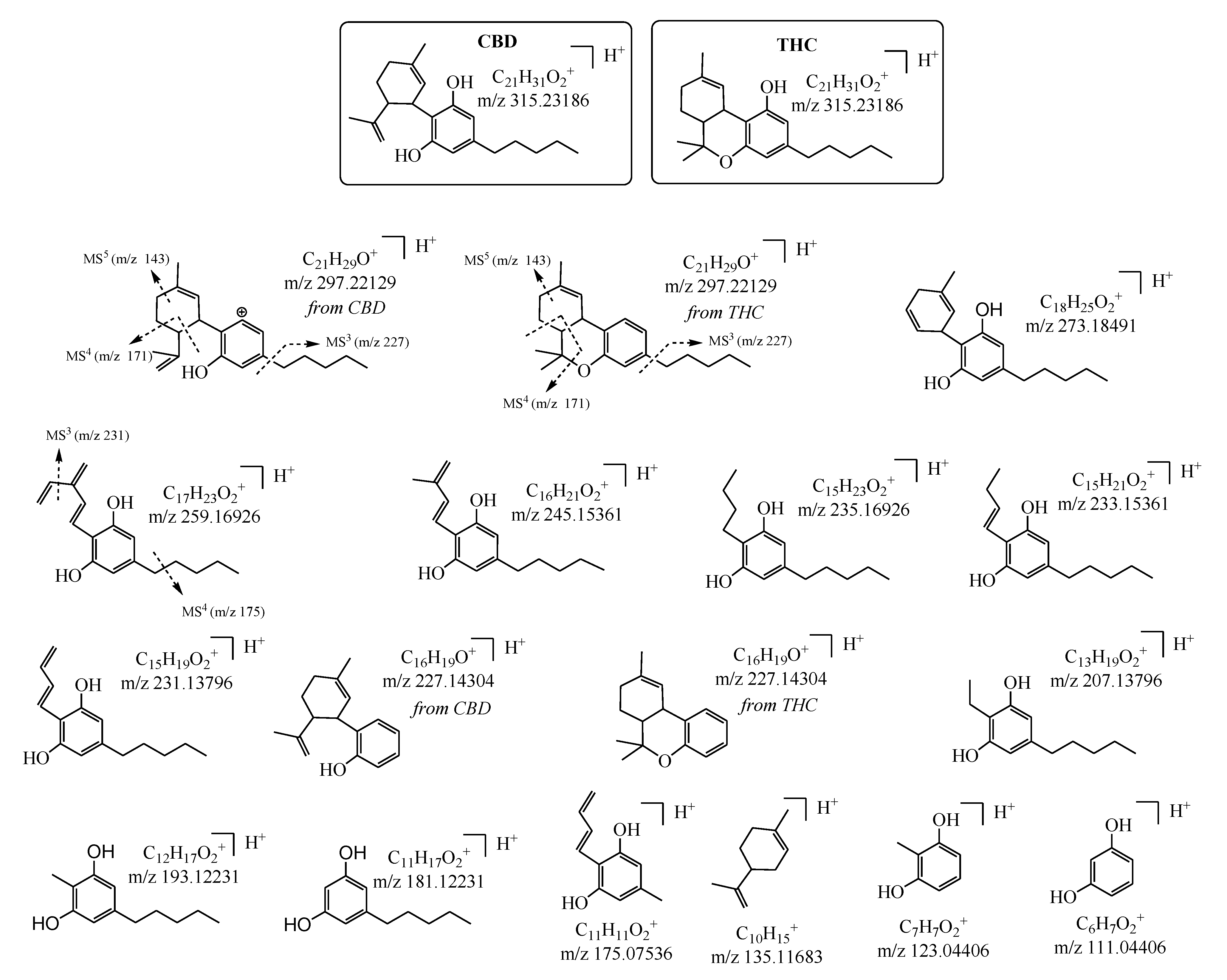 Separations 08 00245 g003