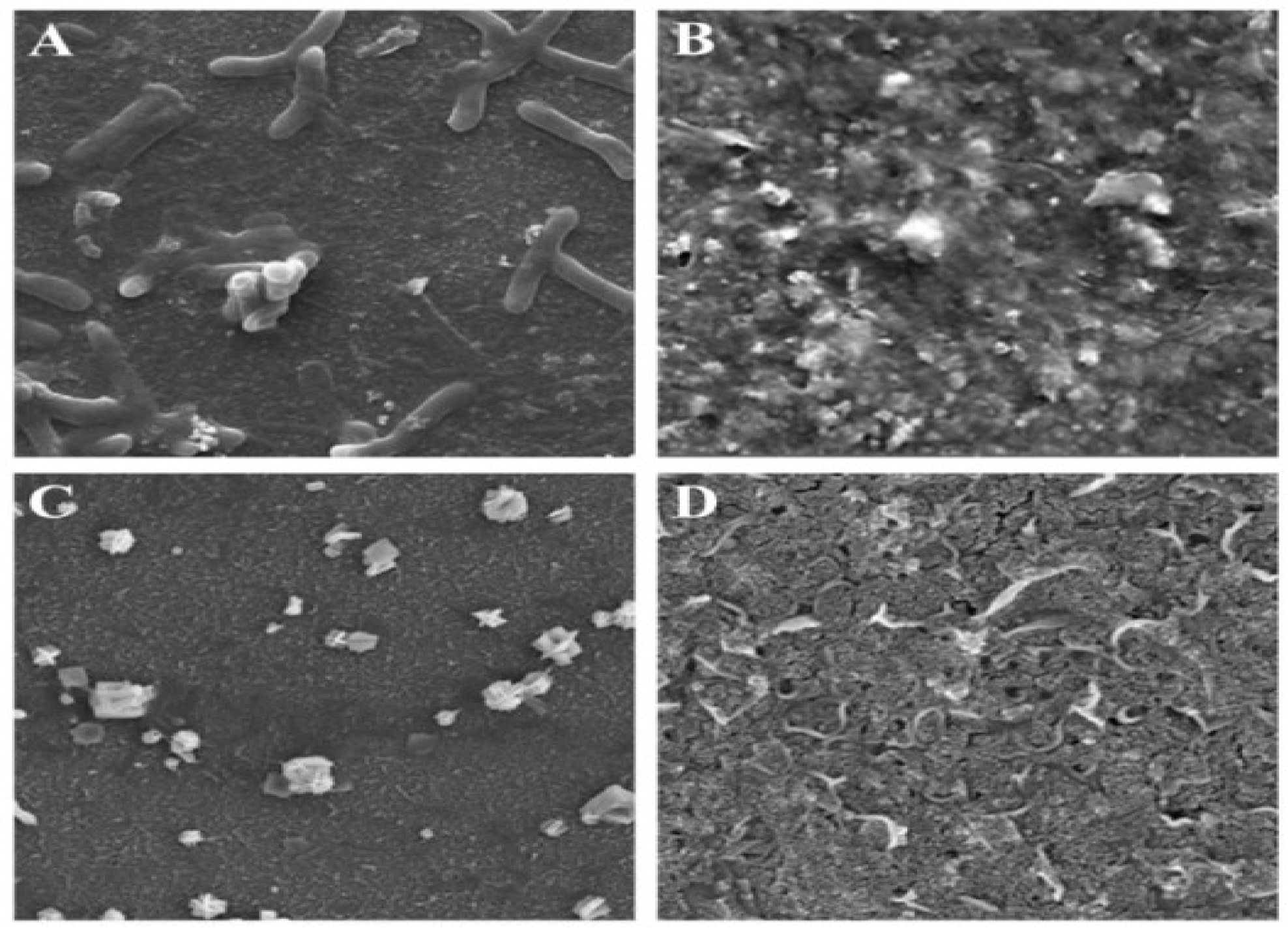 Separations 09 00001 g002