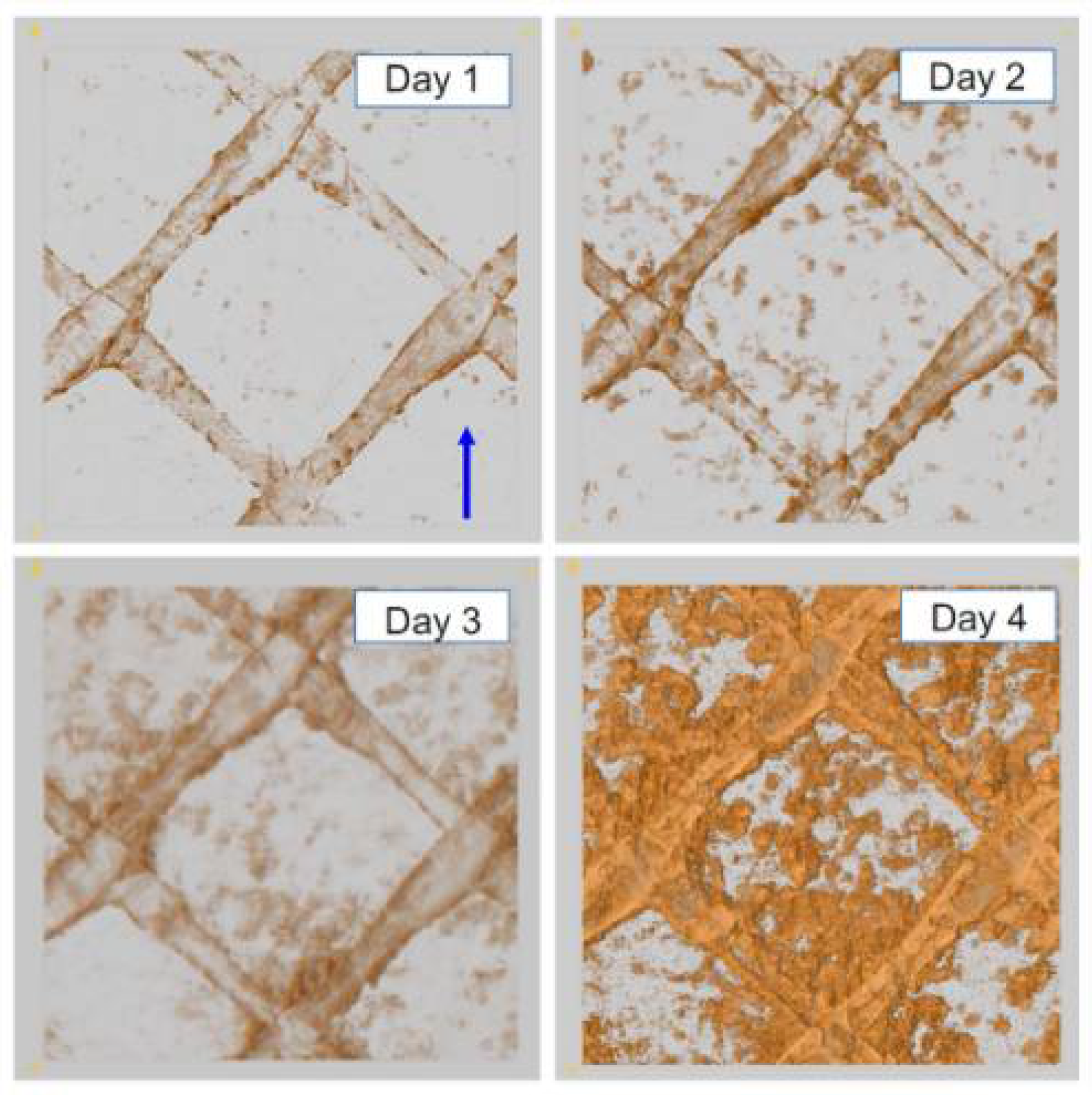 Separations 09 00001 g006
