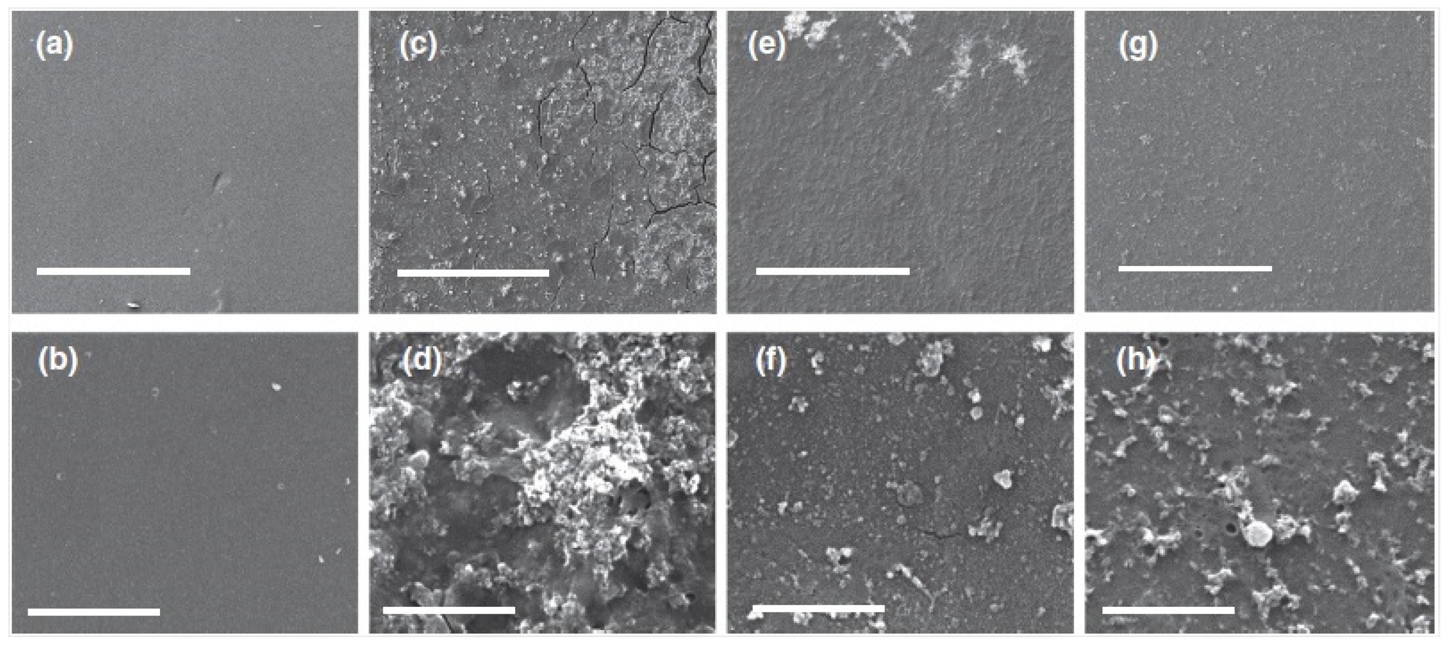 Separations 09 00001 g008