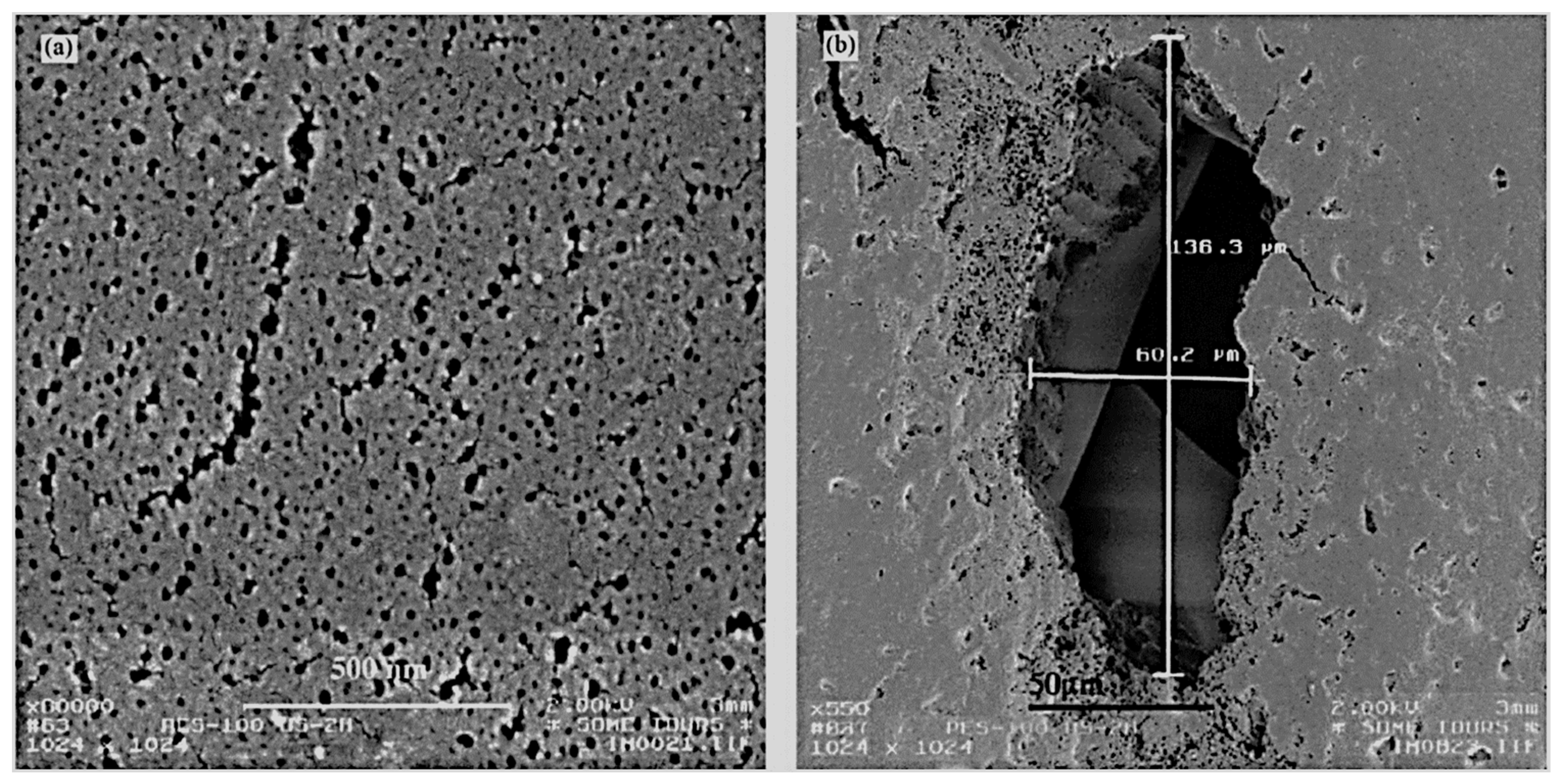 Separations 09 00001 g011