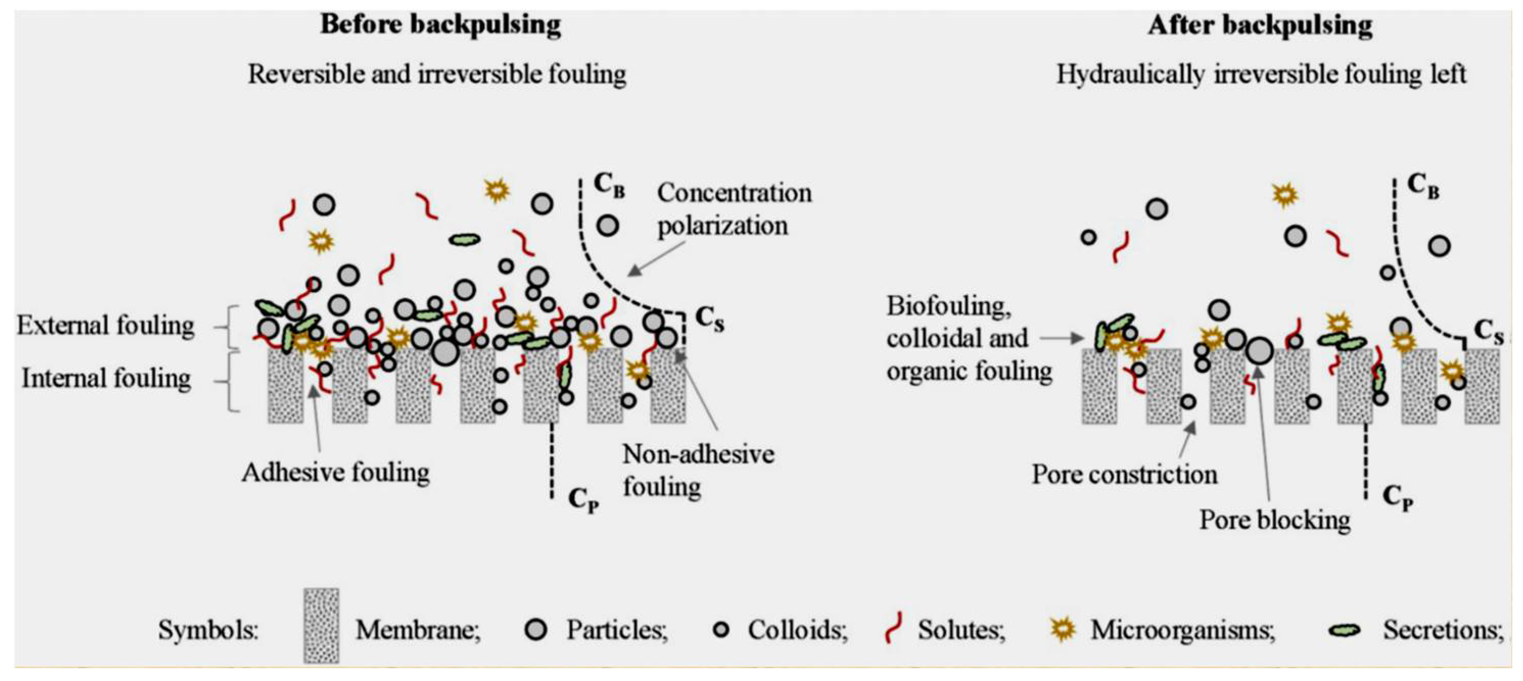 Separations 09 00001 g013