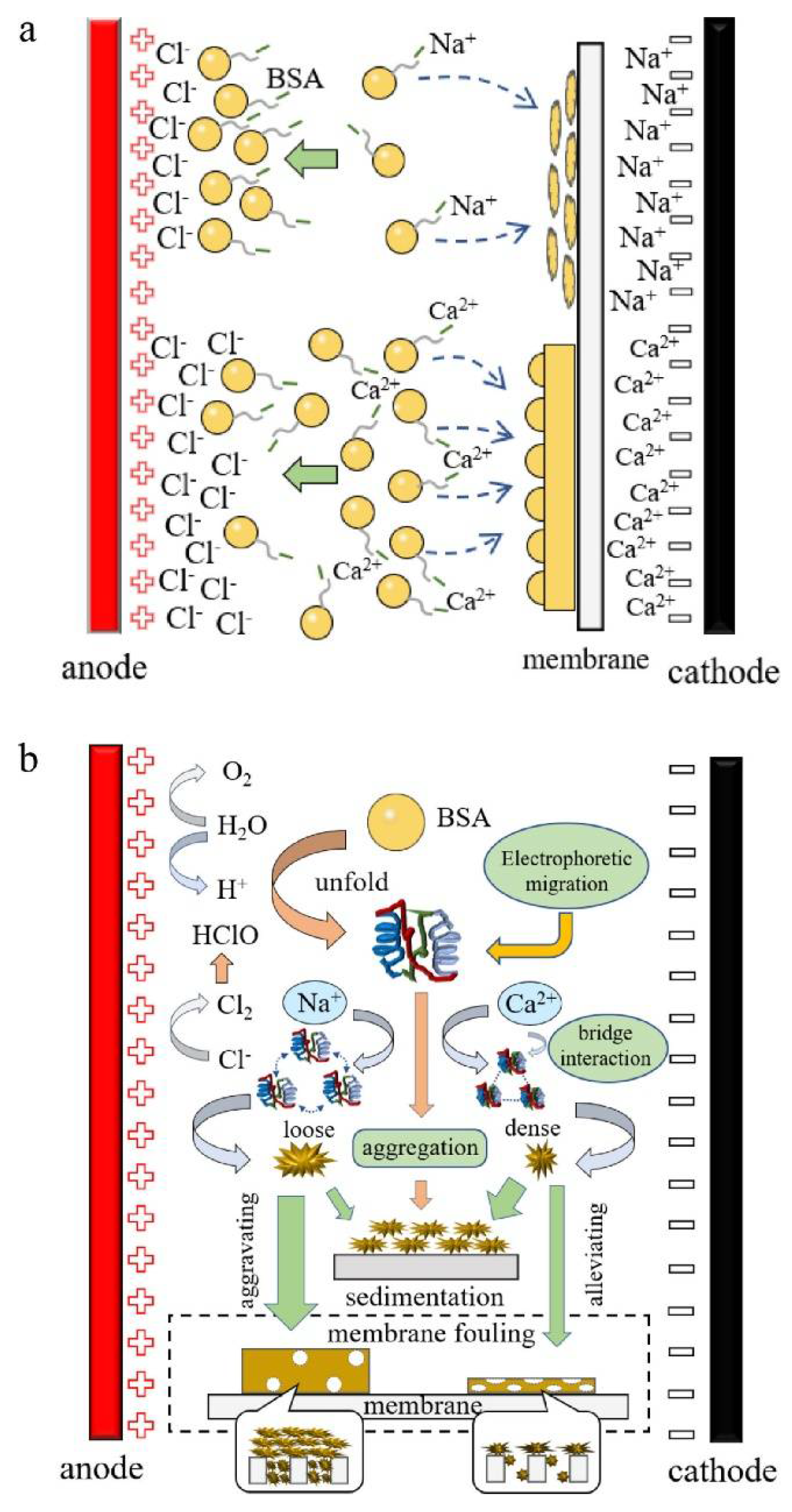 Separations 09 00001 g017