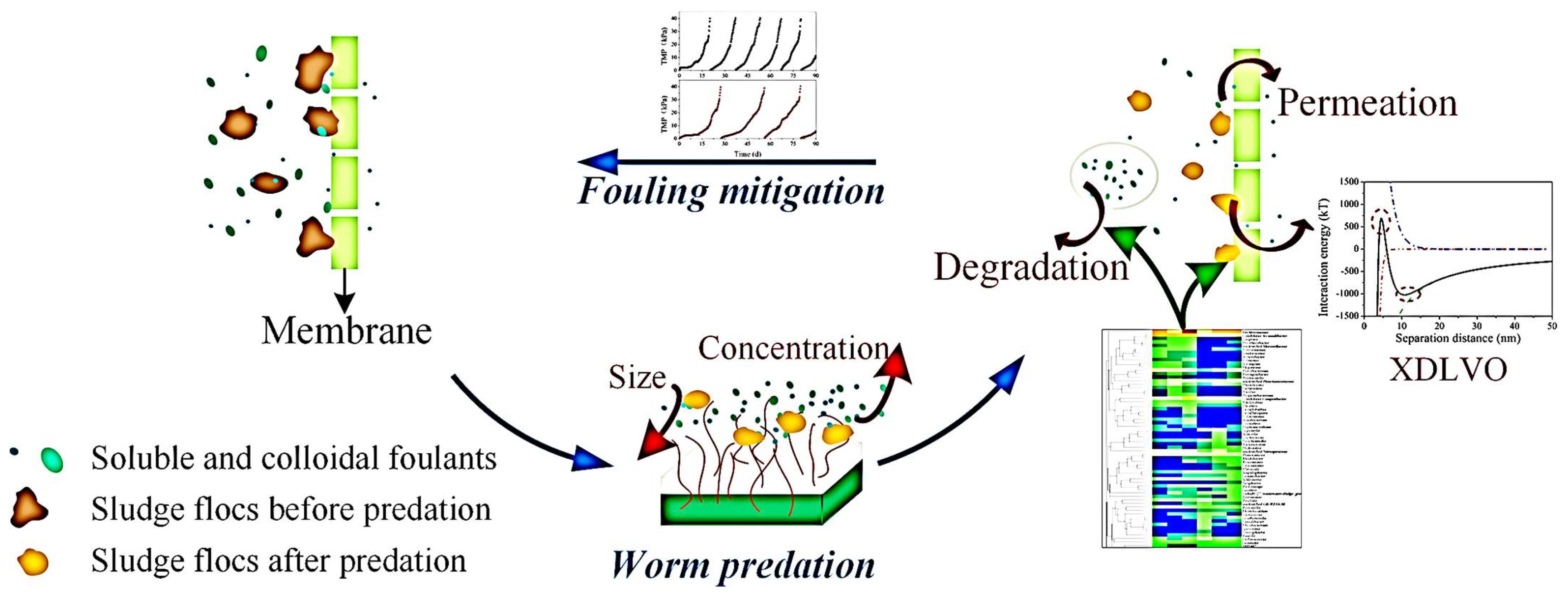 Separations 09 00001 g021