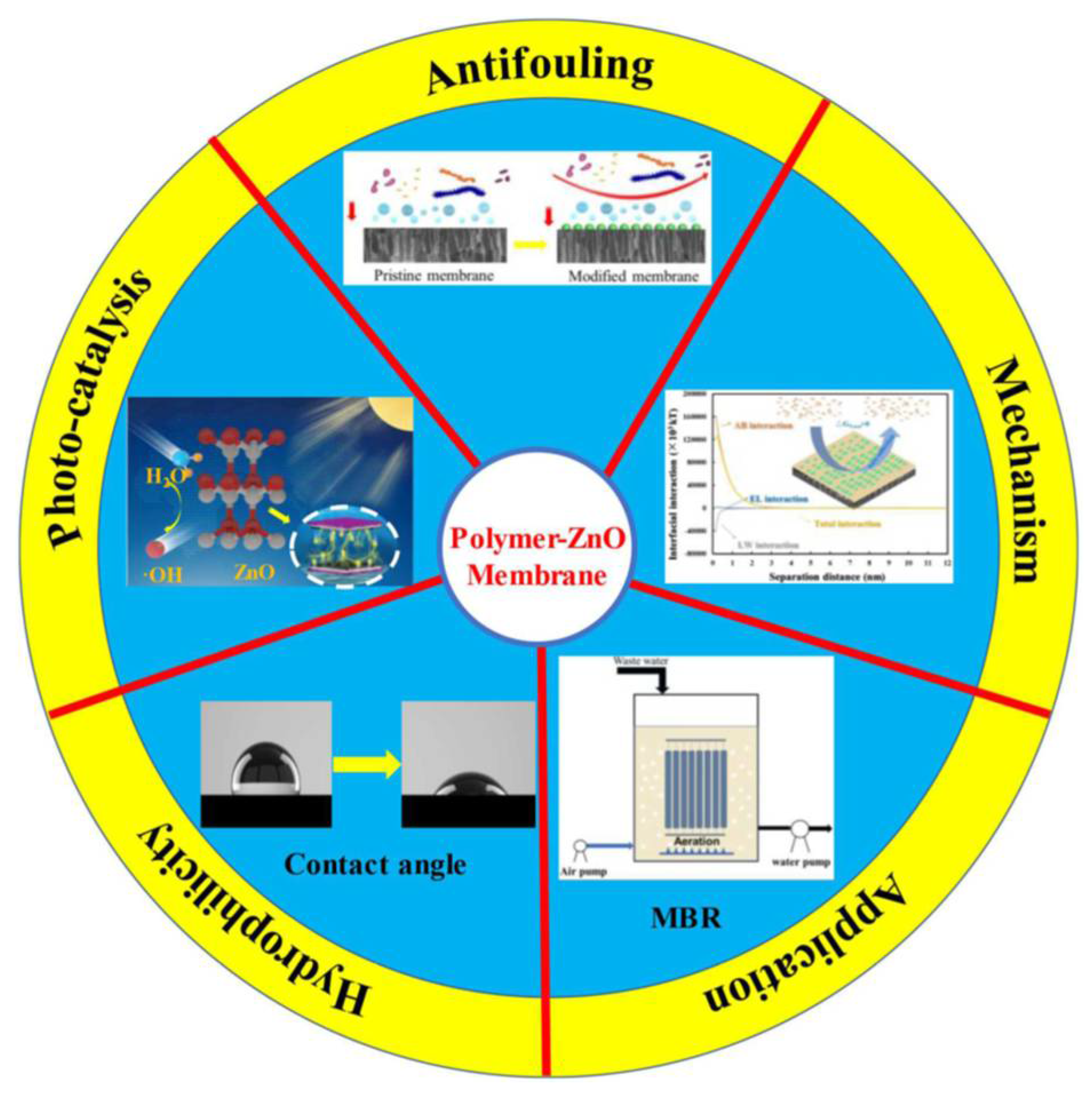 Separations 09 00001 g023