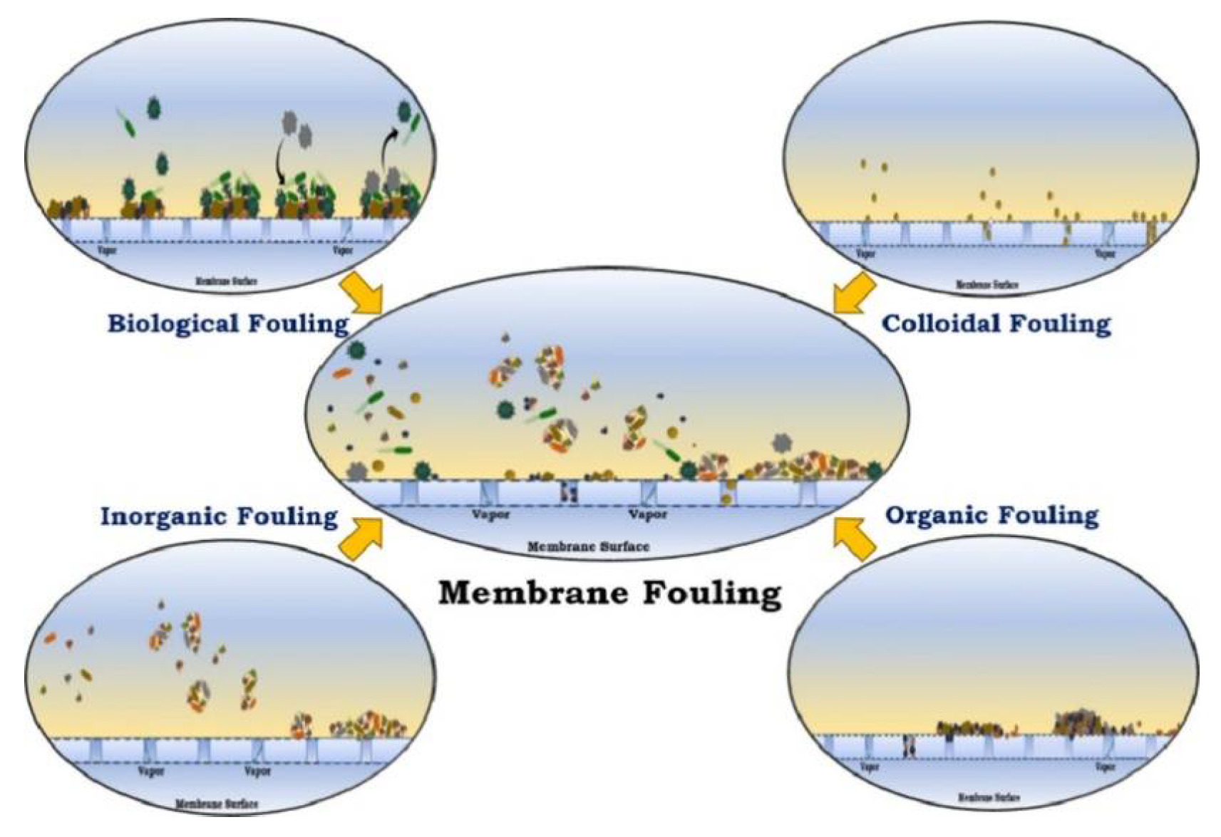 Separations 09 00001 g024