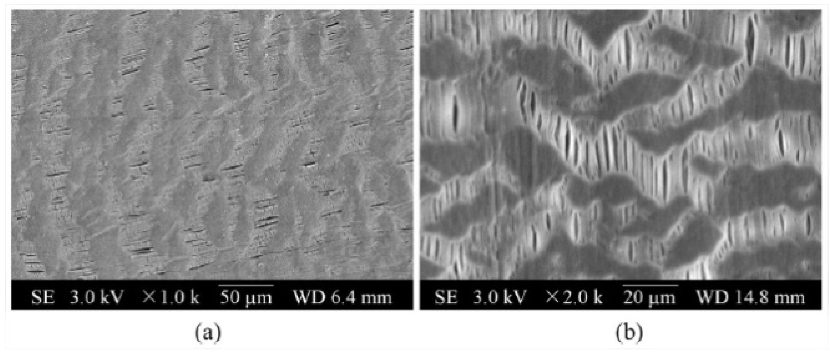 Separations 09 00001 g031