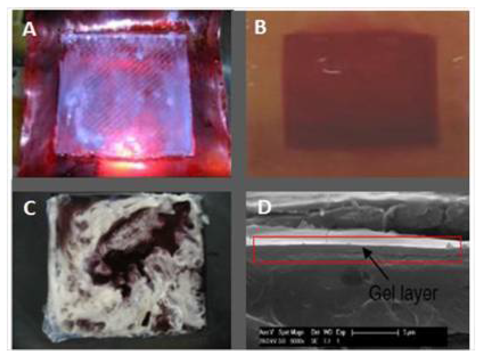 Separations 09 00001 g033