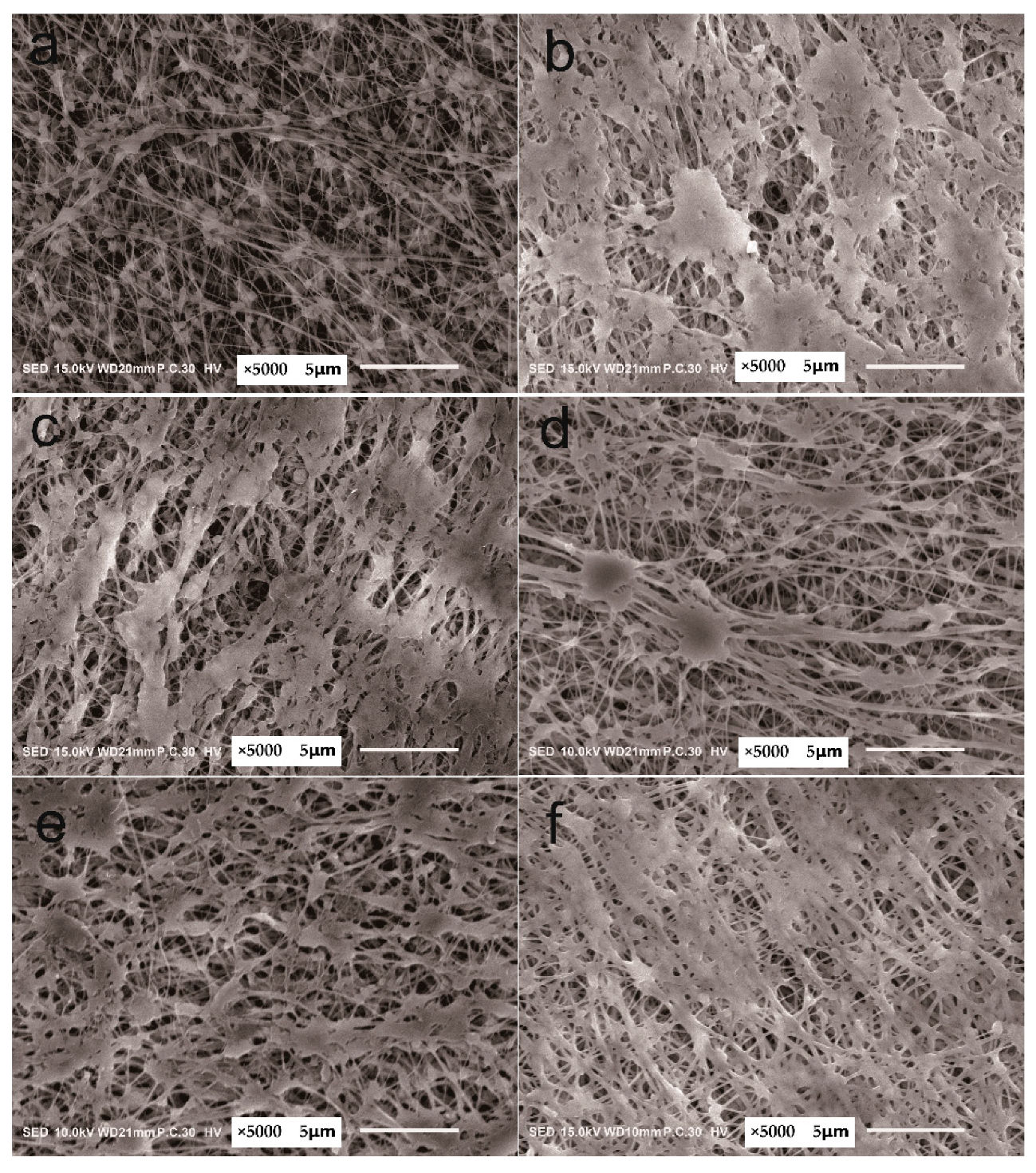 Separations 09 00002 g003