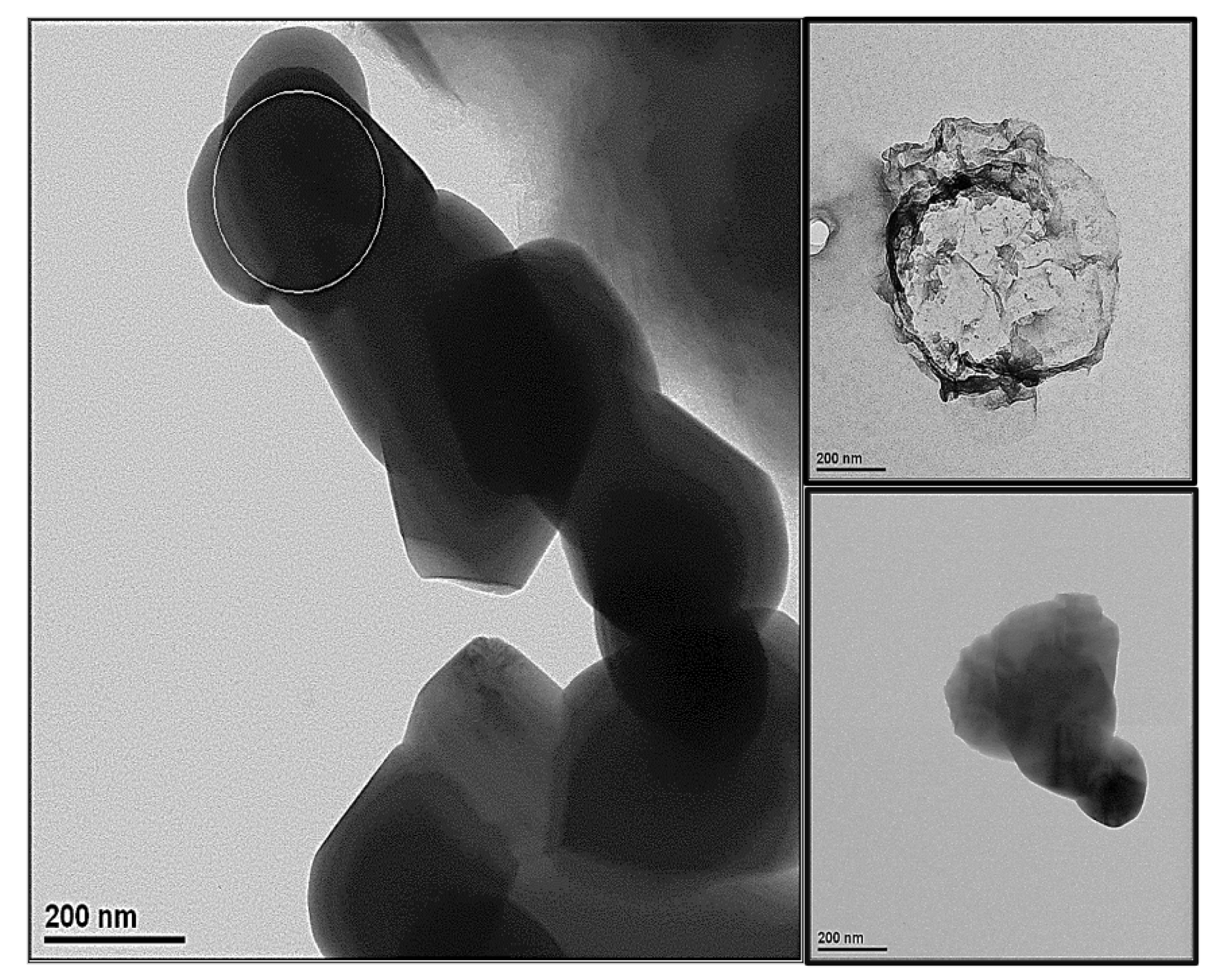 Separations 09 00010 g003