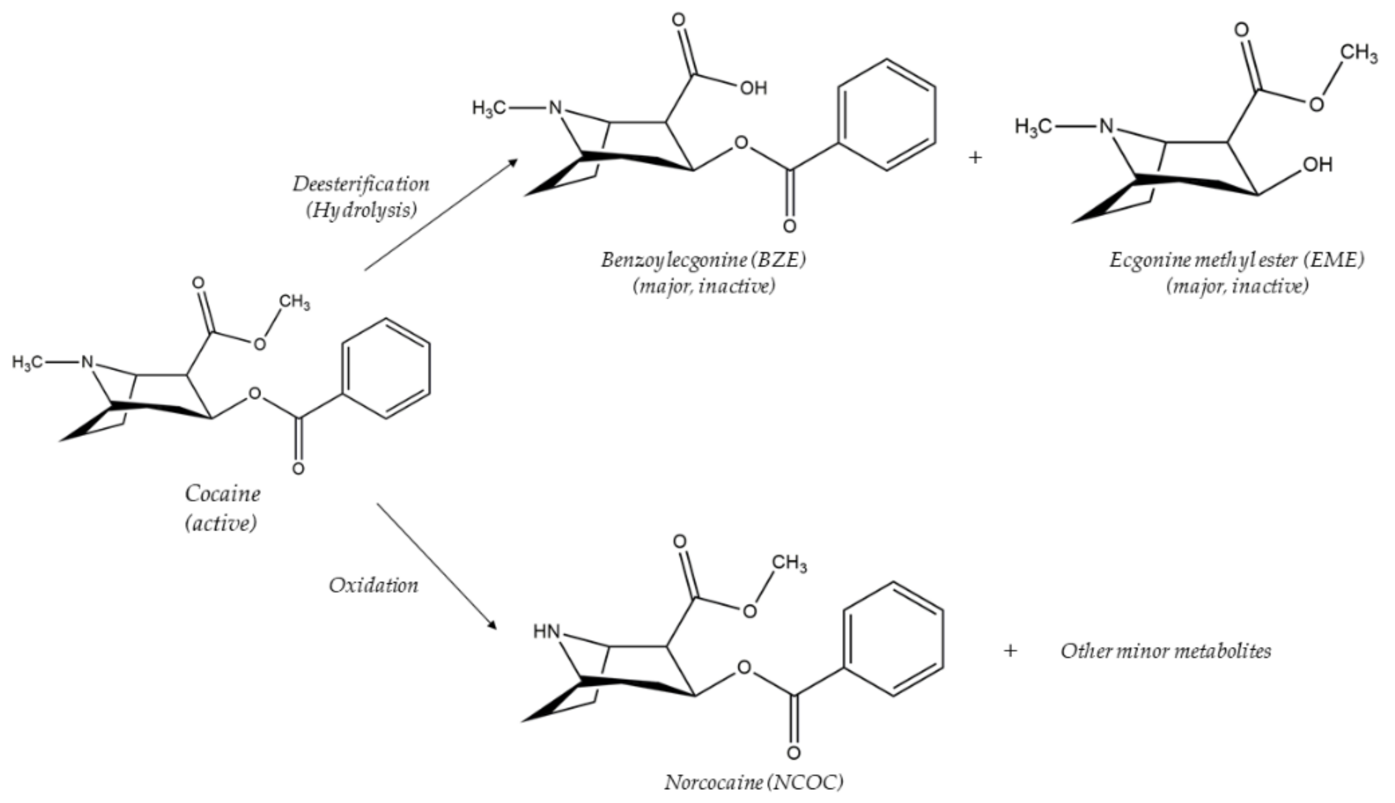 Separations 09 00018 g006