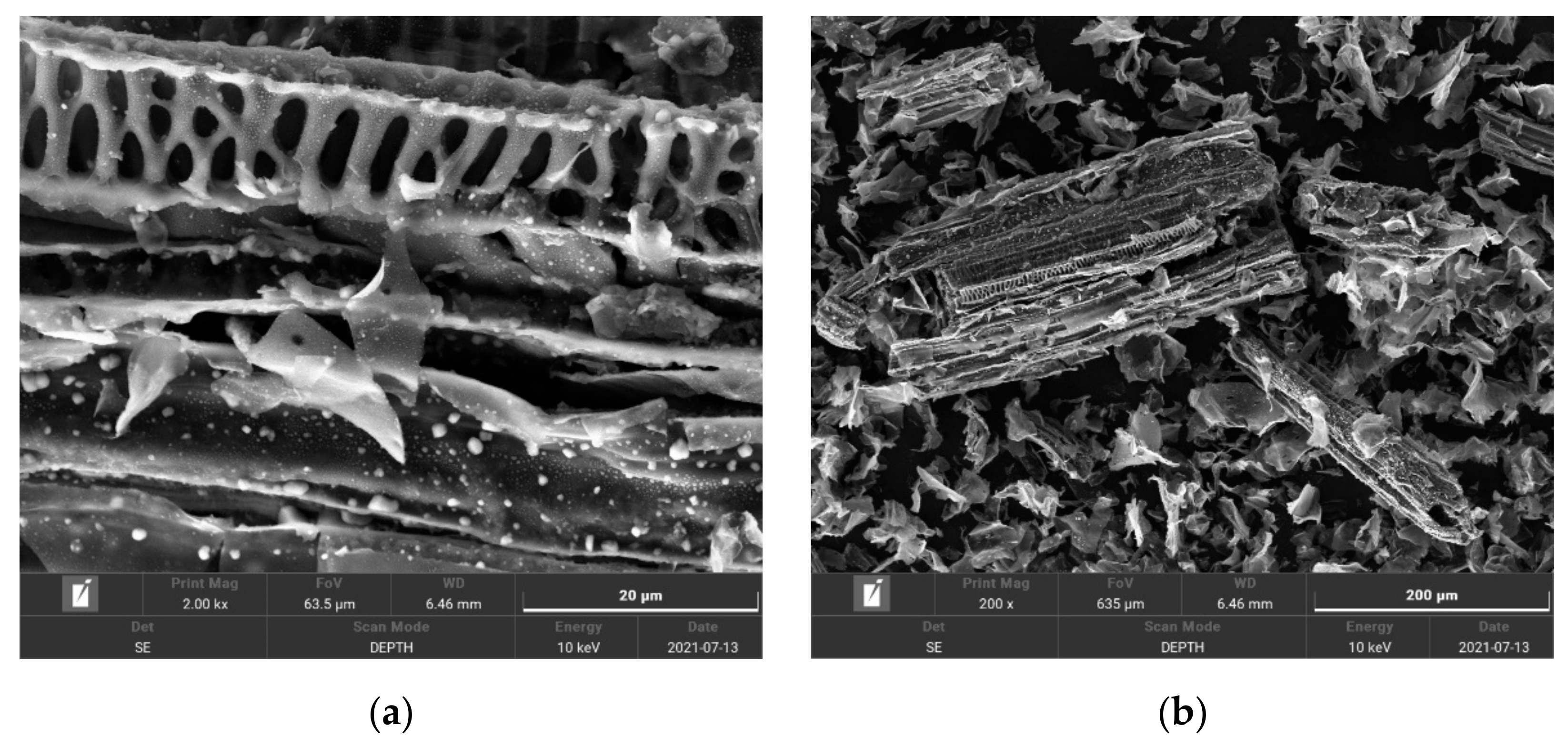 Separations 09 00022 g001