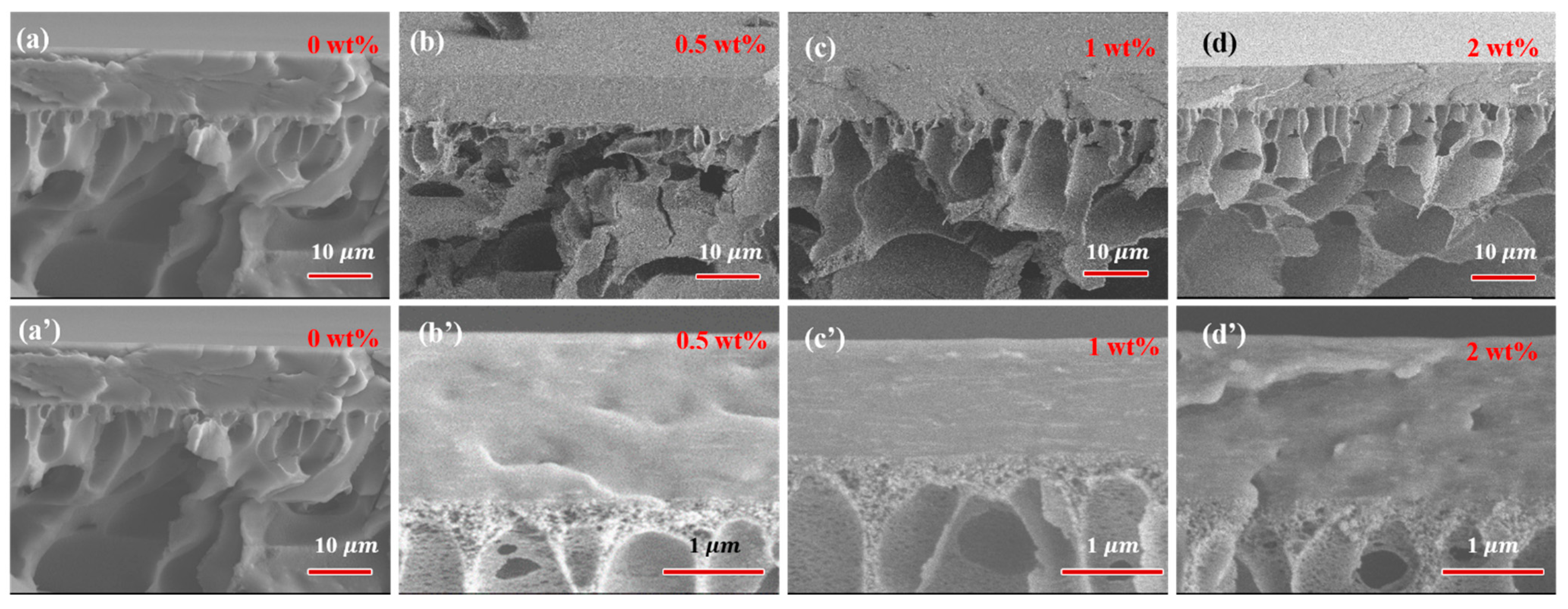 Separations 09 00026 g006