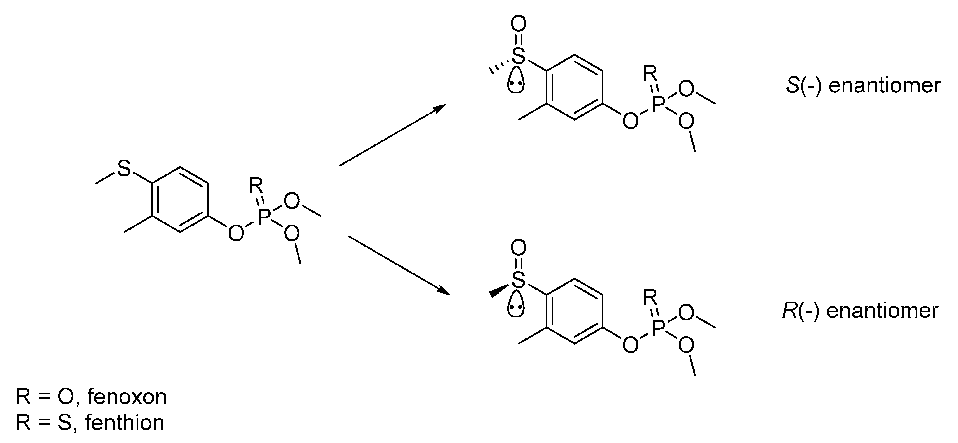 Separations 09 00029 g004