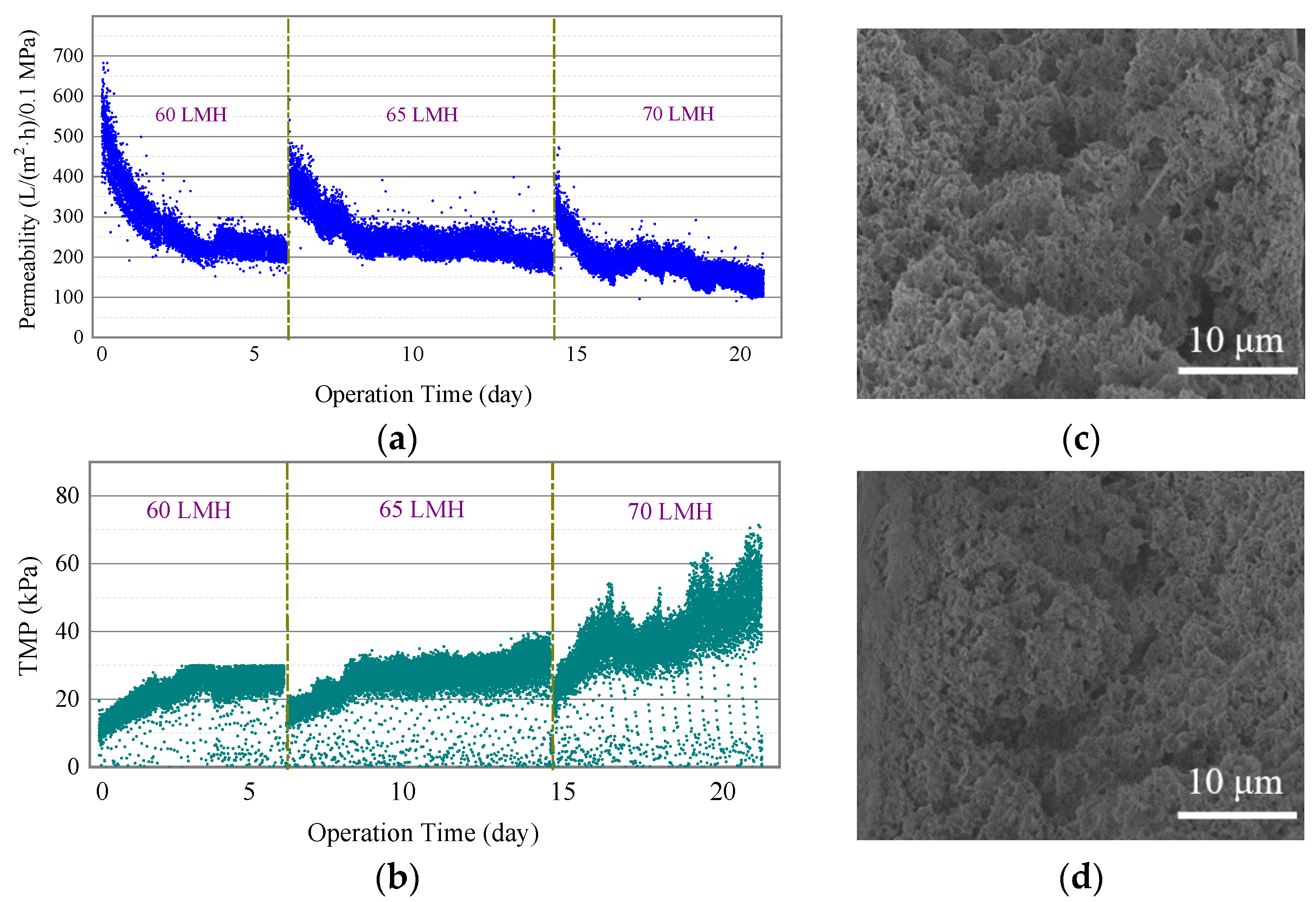 Separations 09 00037 g004