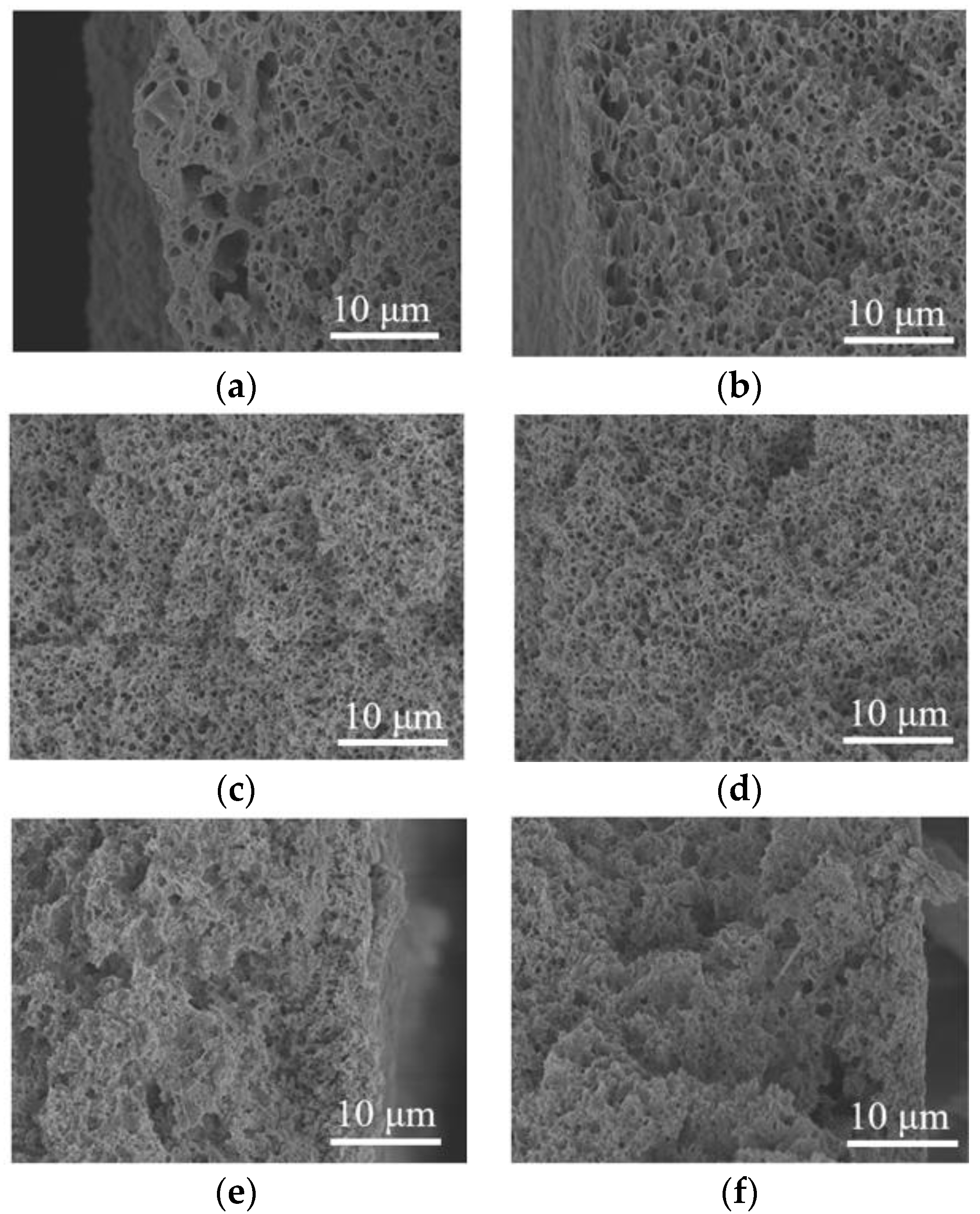 Separations 09 00037 g009