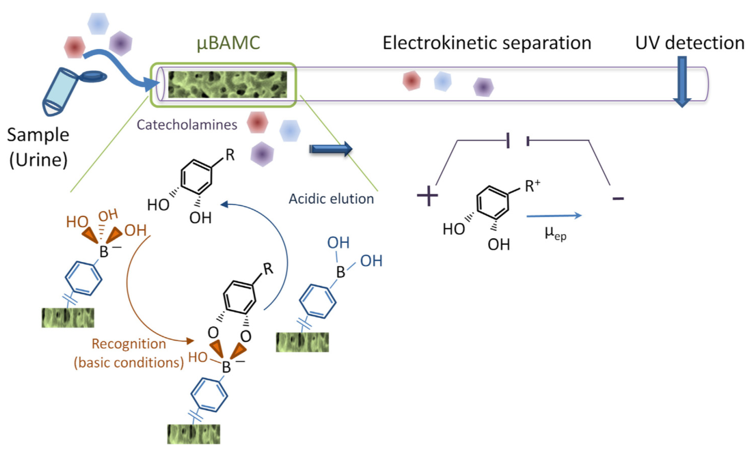 Separations 09 00044 g004 Separations 09 00044 g004