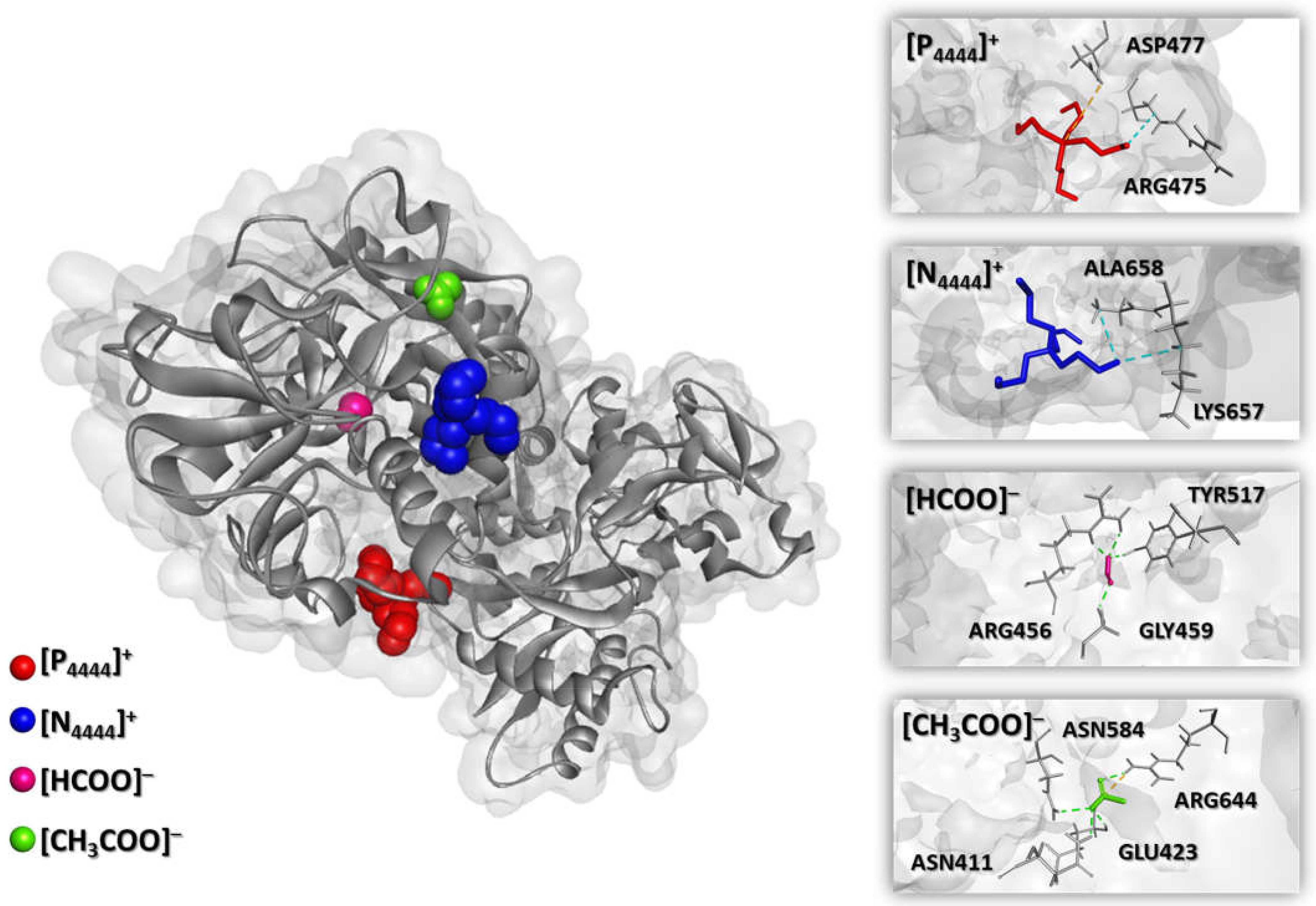 Separations 09 00046 g005