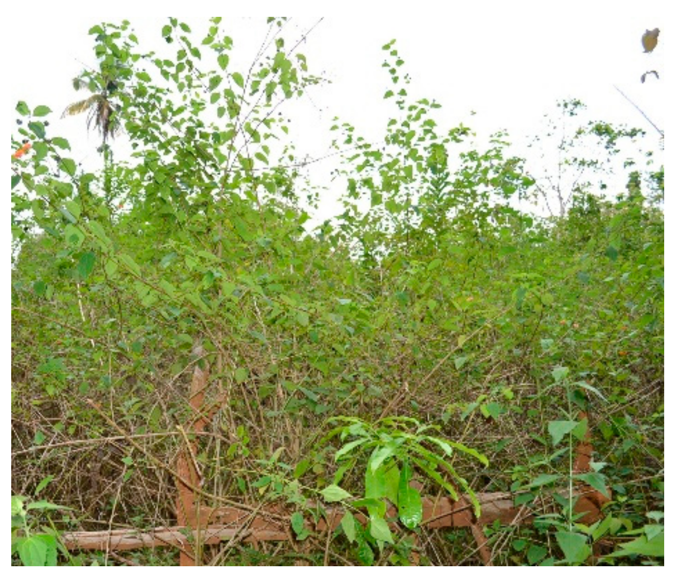 Separations 09 00075 g001