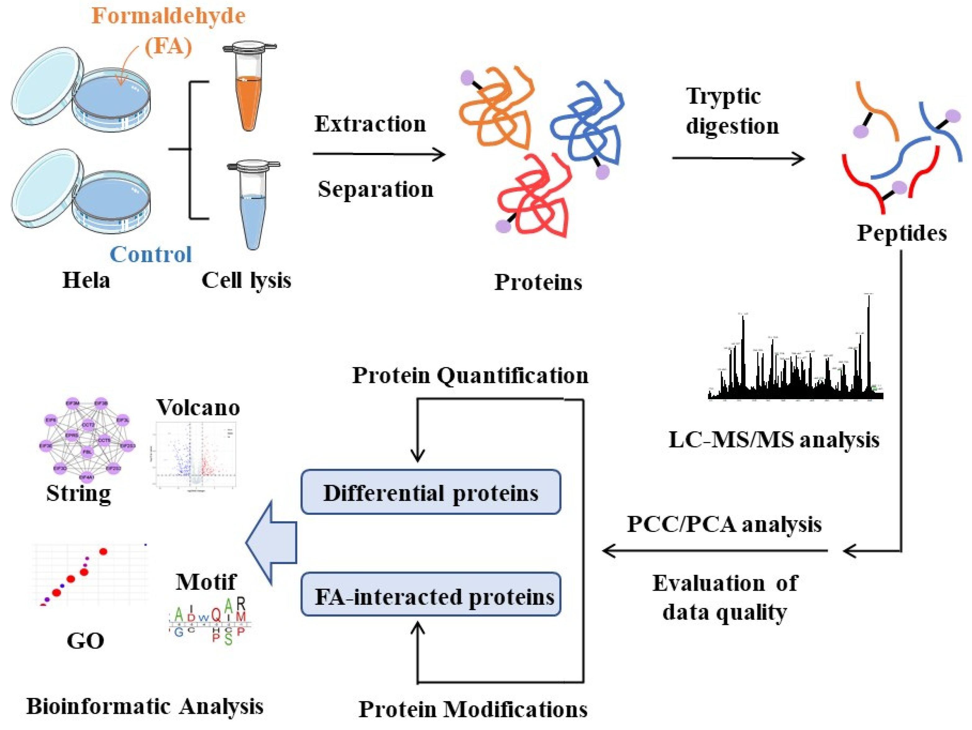 Separations 09 00112 g001 Separations 09 00112 g001