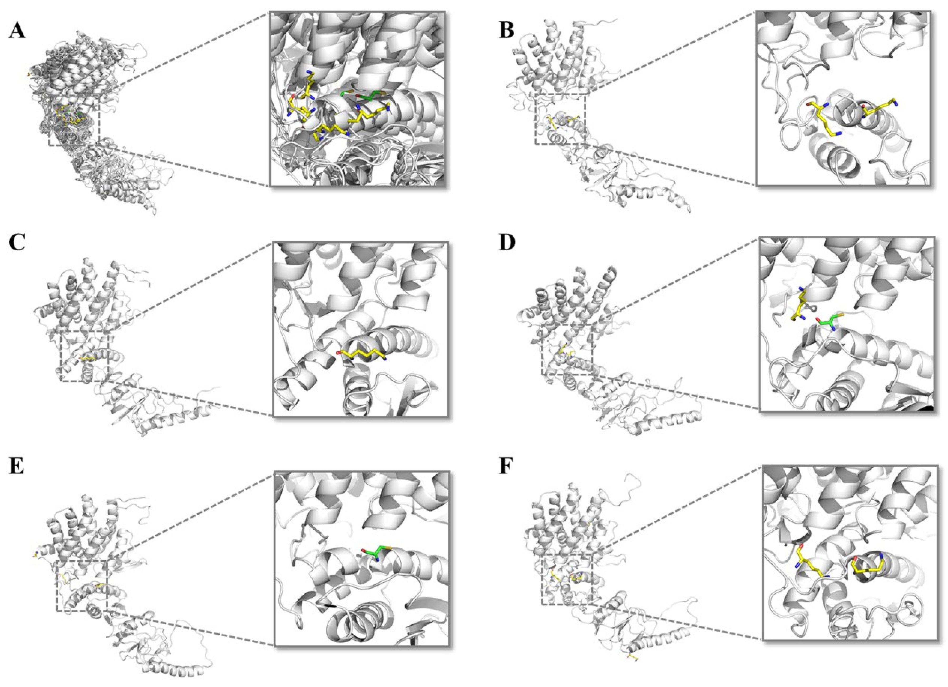 Separations 09 00112 g005 Separations 09 00112 g005