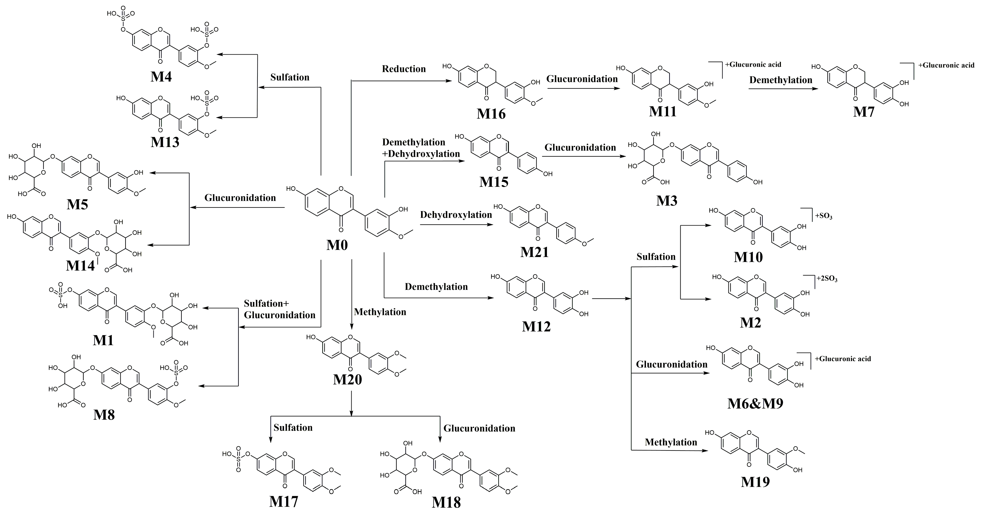 Separations 09 00115 g004