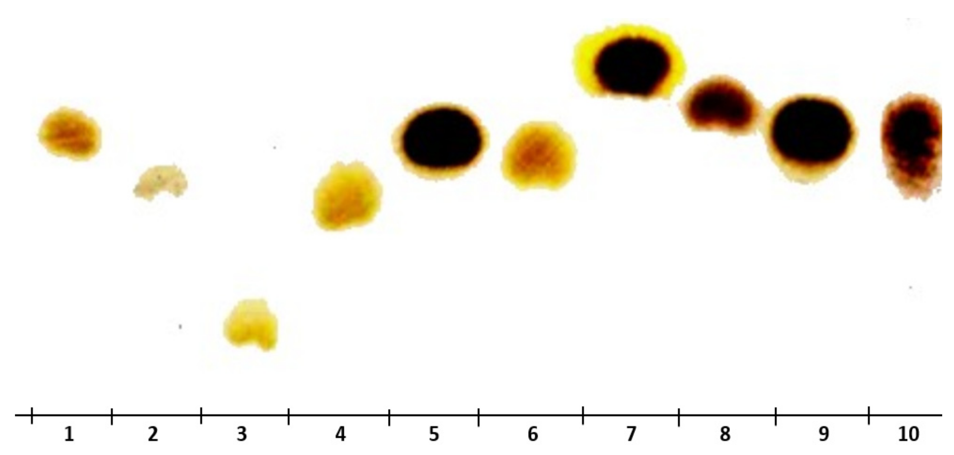 Separations 09 00117 g006